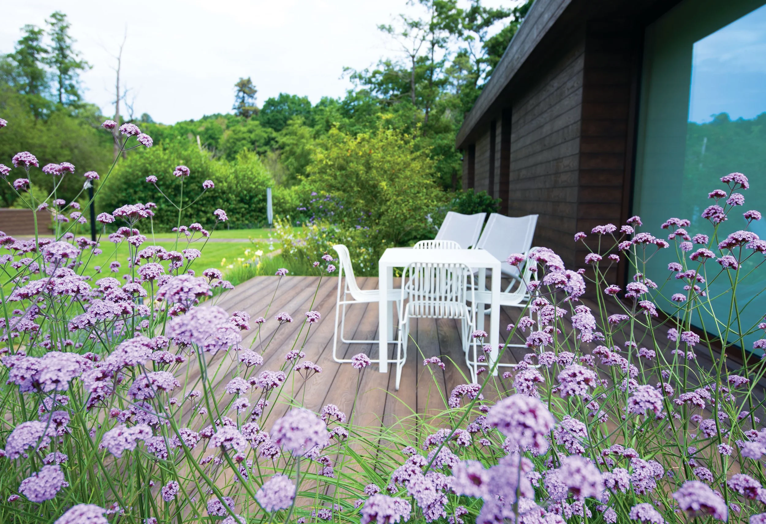 Purple Verbena bonariensis framing a timber terrace and views into the surrounding landscape at The Fishing Lodge.