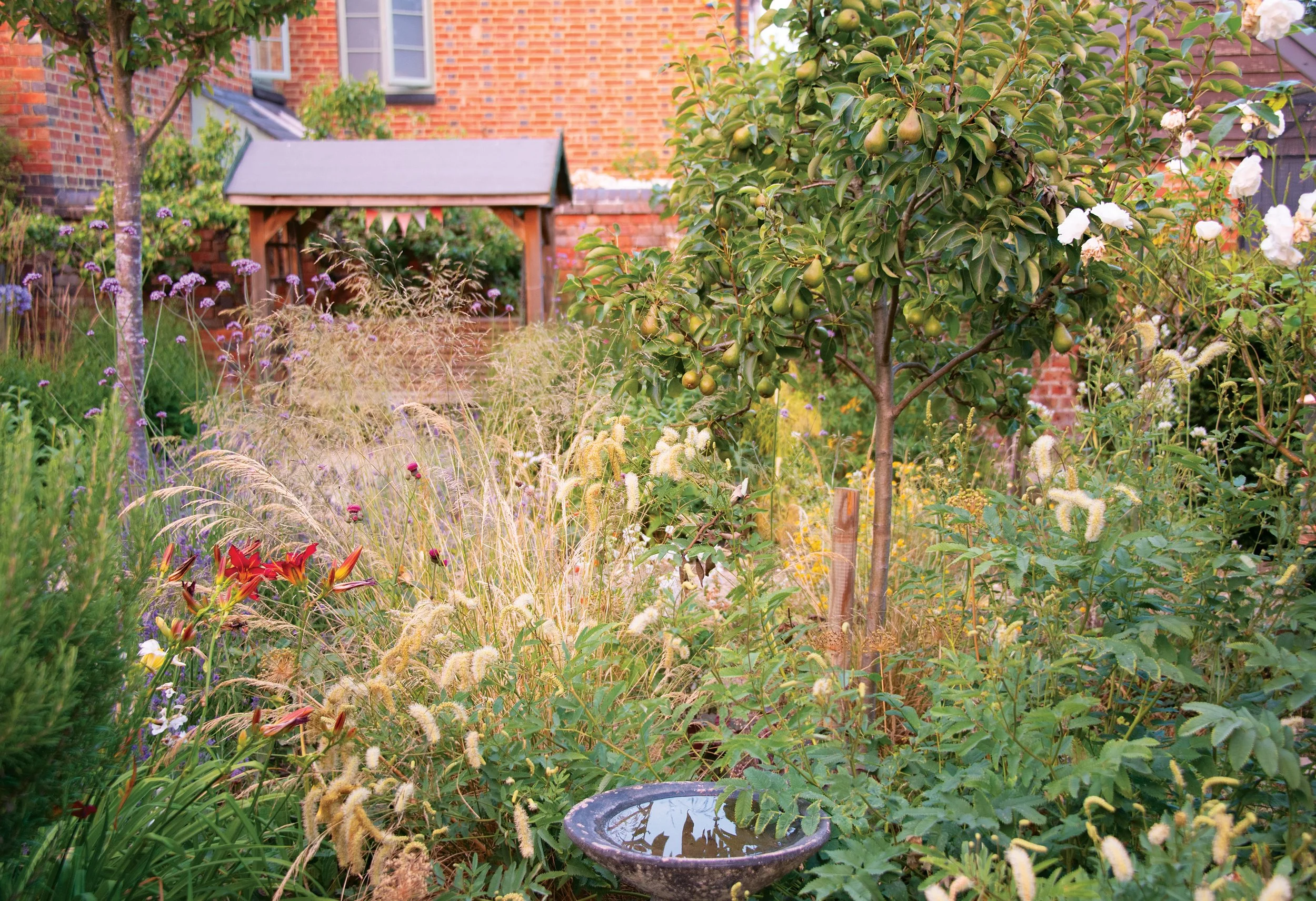 Sanguisorba tenuifolia ‘Alba’, Crocosmia ‘Lucifer’ and Deschampsia cespitosa creating height, softeness, and movement.