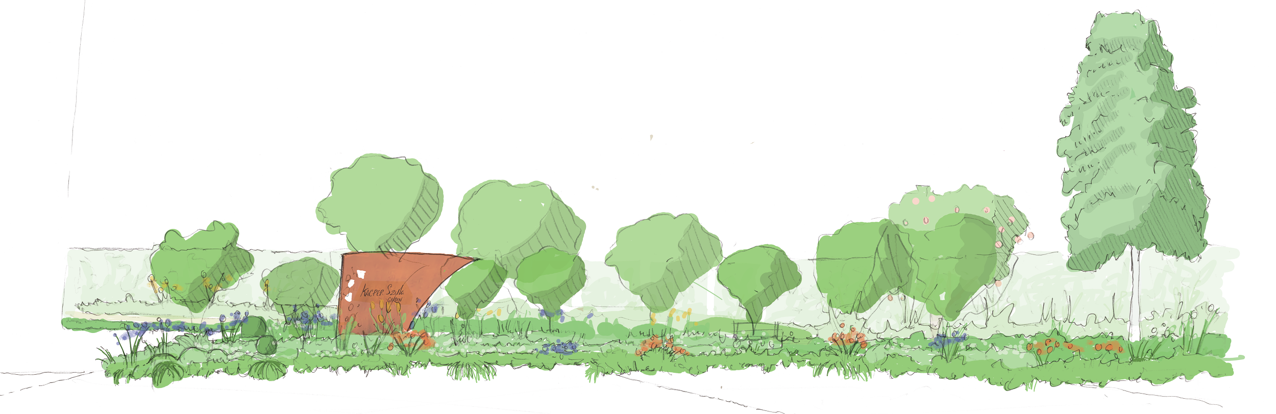 Hand-drawn landscape concept sketch produced as part of the early garden design process, exploring planting, trees and spatial relationships.