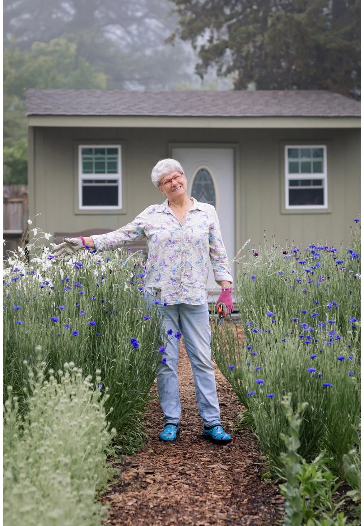 An elderly woman with gray hair, glasses, and a floral shirt smiles while standing between rows of purple flowers in a garden, holding gardening tools.