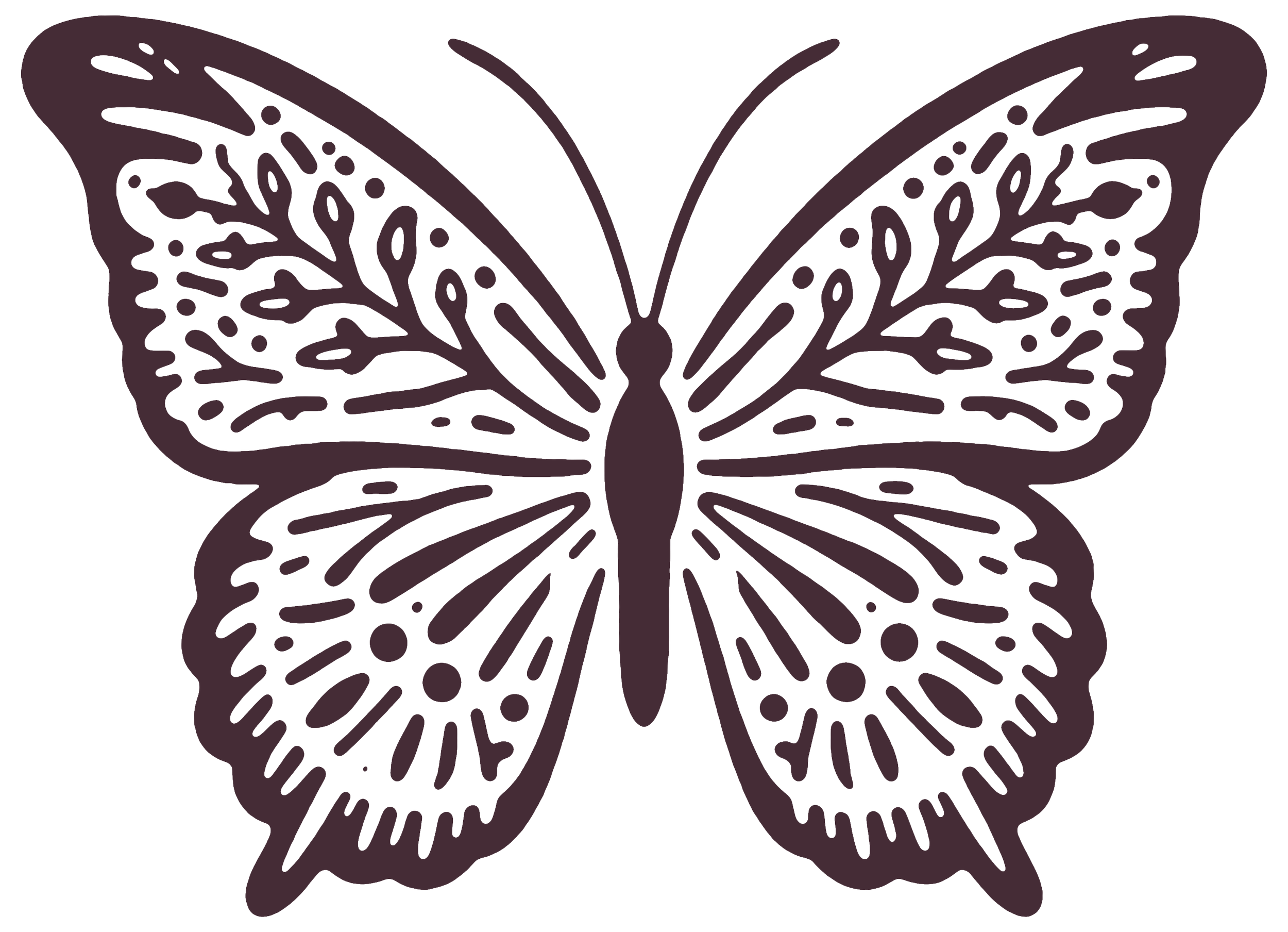 Silhouette of a butterfly with intricate wing patterns.