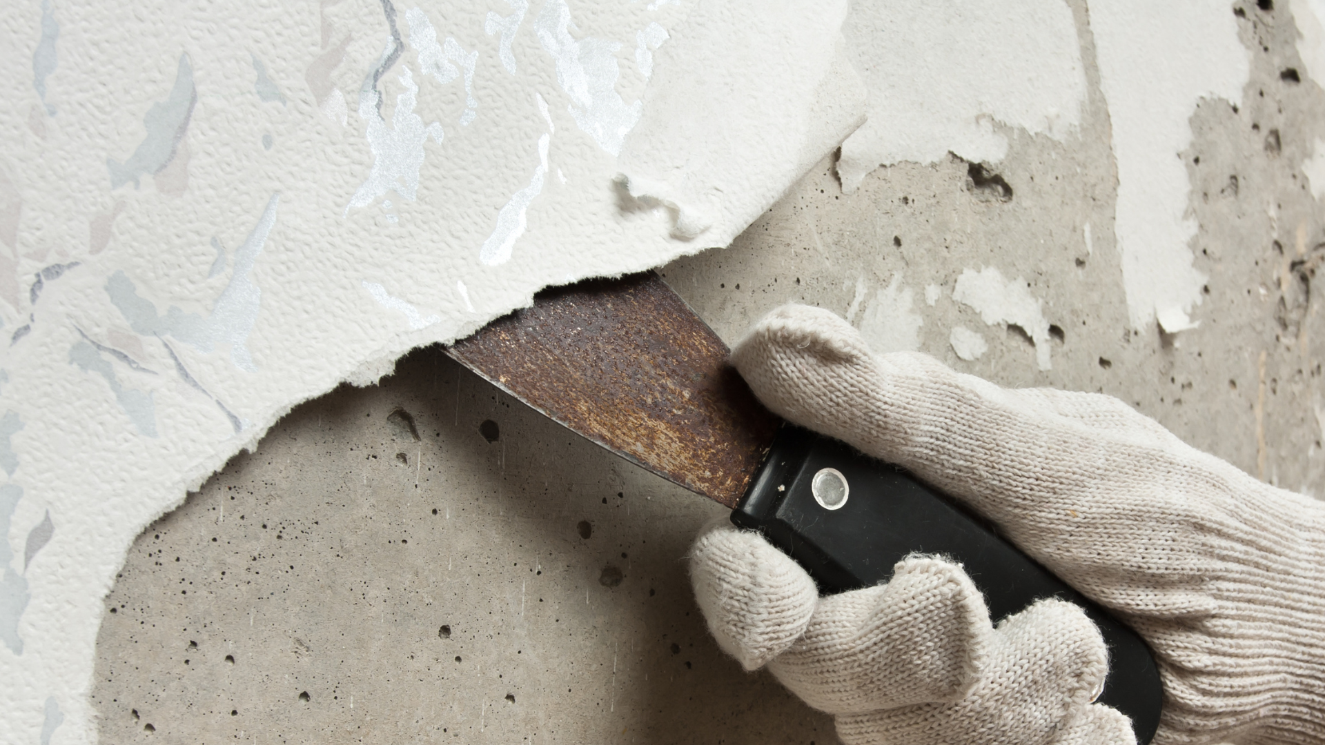 Why You Should Let Your Team Watch You Renovate