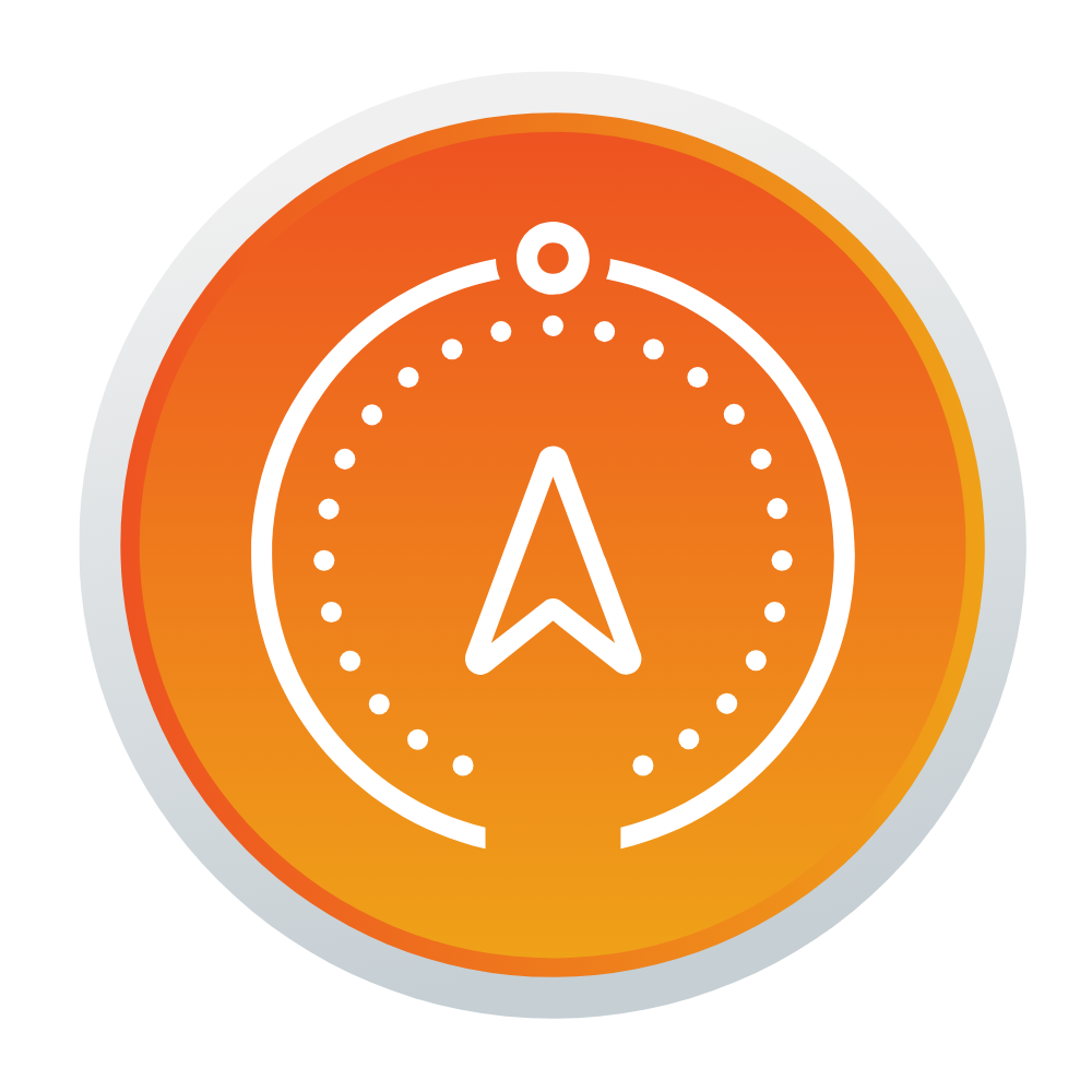 The Culture Compass™