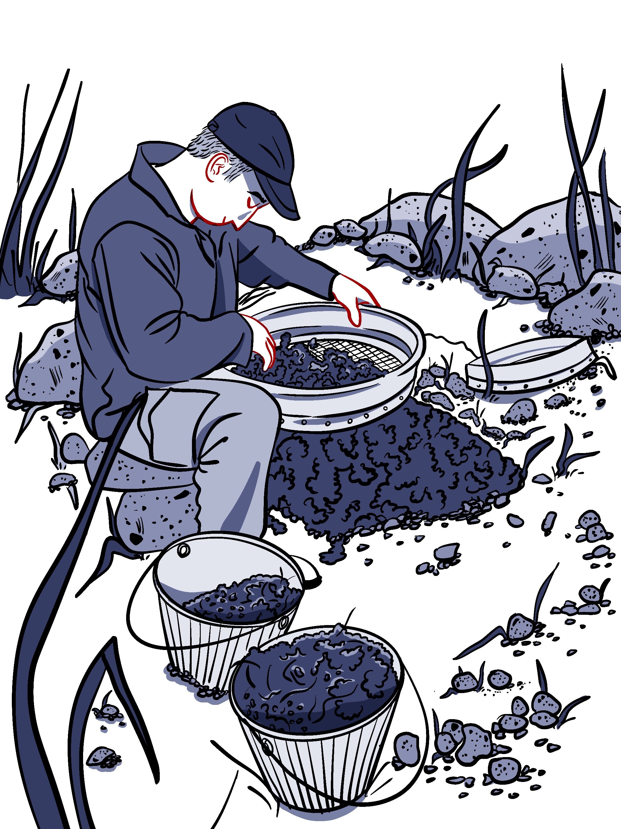 Meg-A Illustration 6.JPG