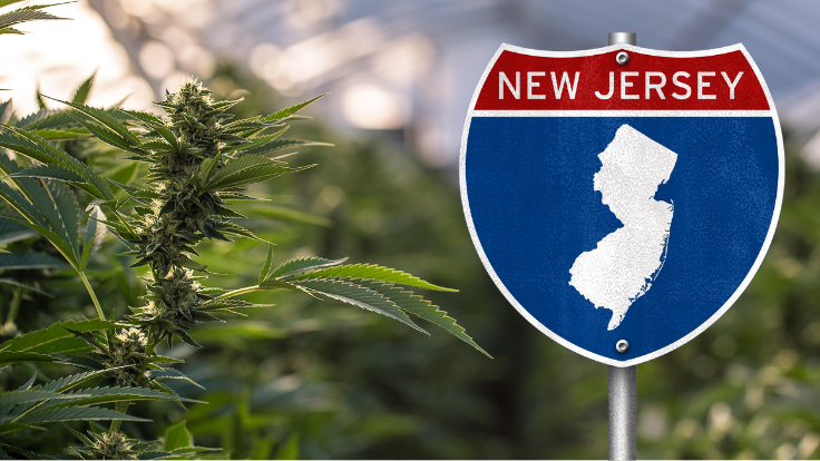 Cannaprints LLC Bolsters Market Expansion with Strategic Partnership with Smiling Bud in New Jersey