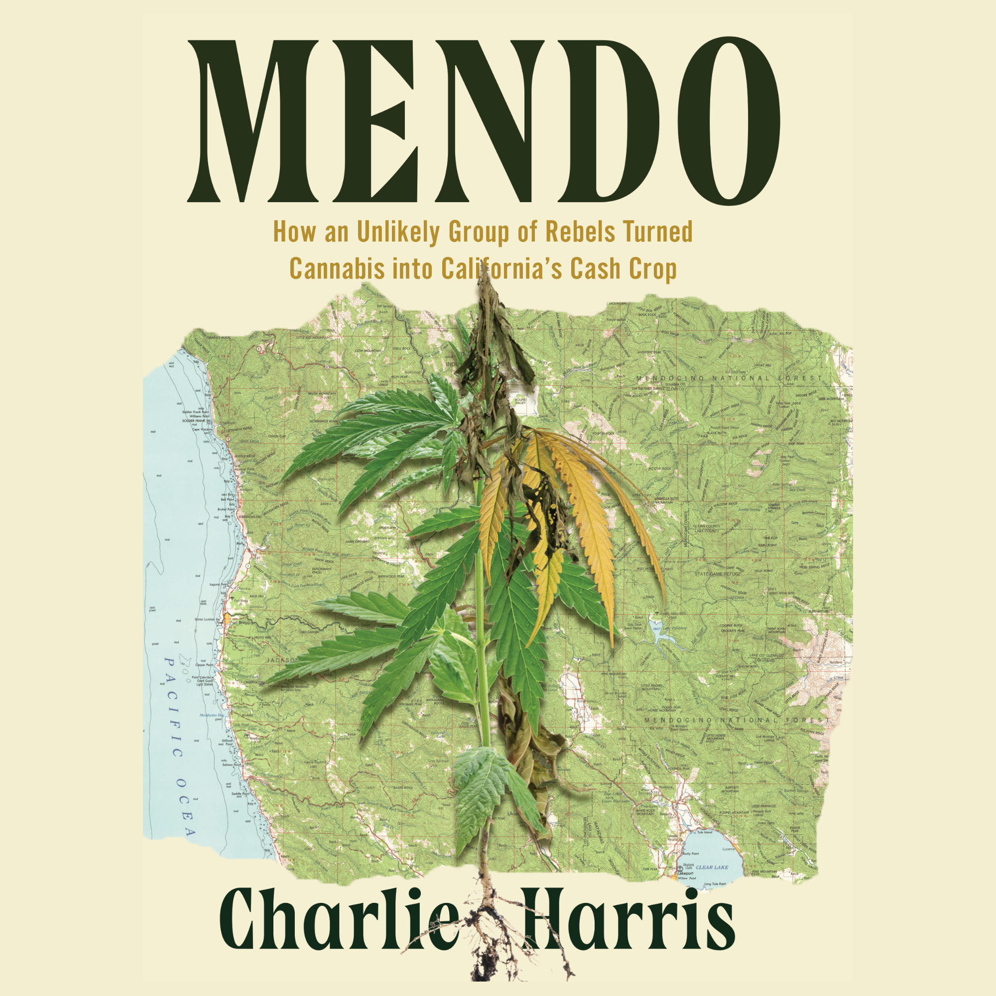MENDO (Counterpoint Press, 2026)