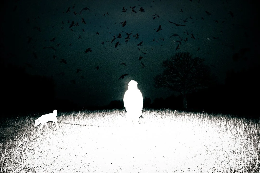 A person and a dog standing in a field at night, with birds flying overhead and a tree in the background.