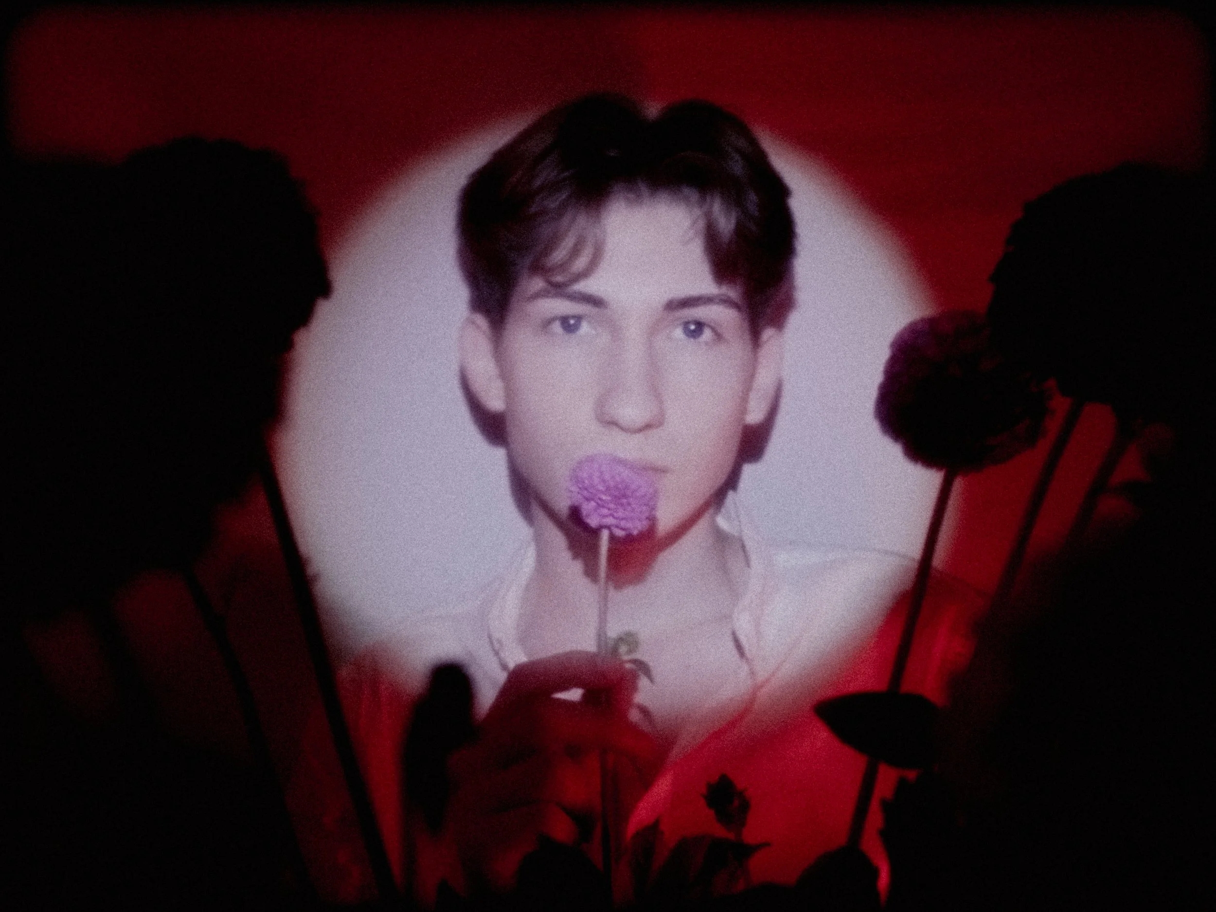 A portrait of a woman with short dark hair, holding a pink flower-shaped microphone, against a background with a red and white glow and black flower silhouettes.