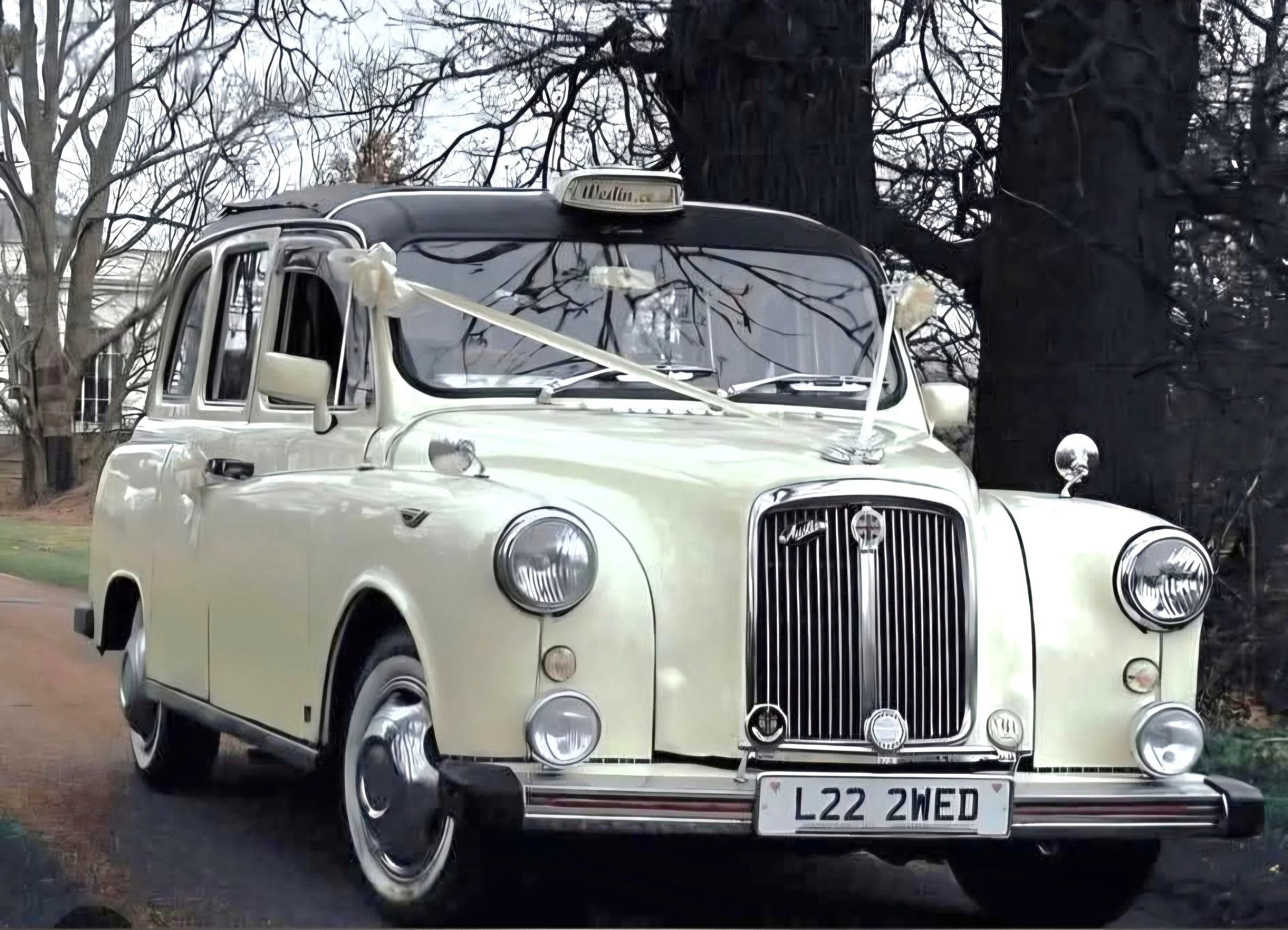 A vintage white taxi cab decorated with ribbons and bows, parked outdoors near trees.