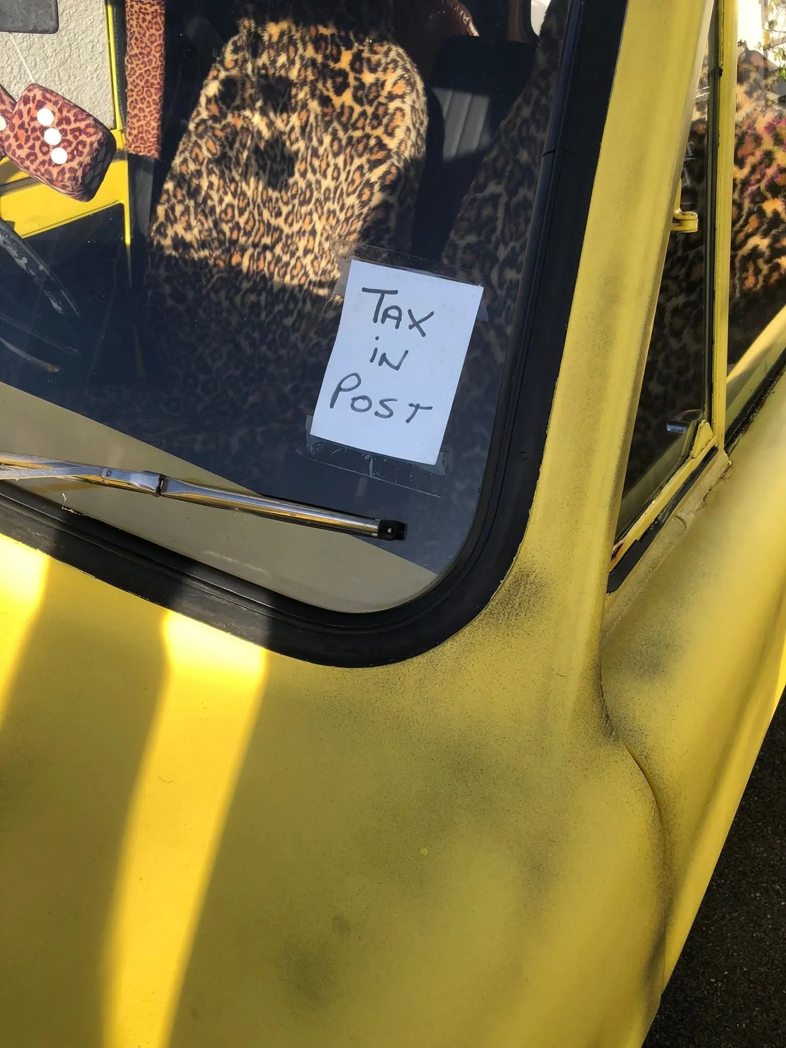 1000035710.jpg