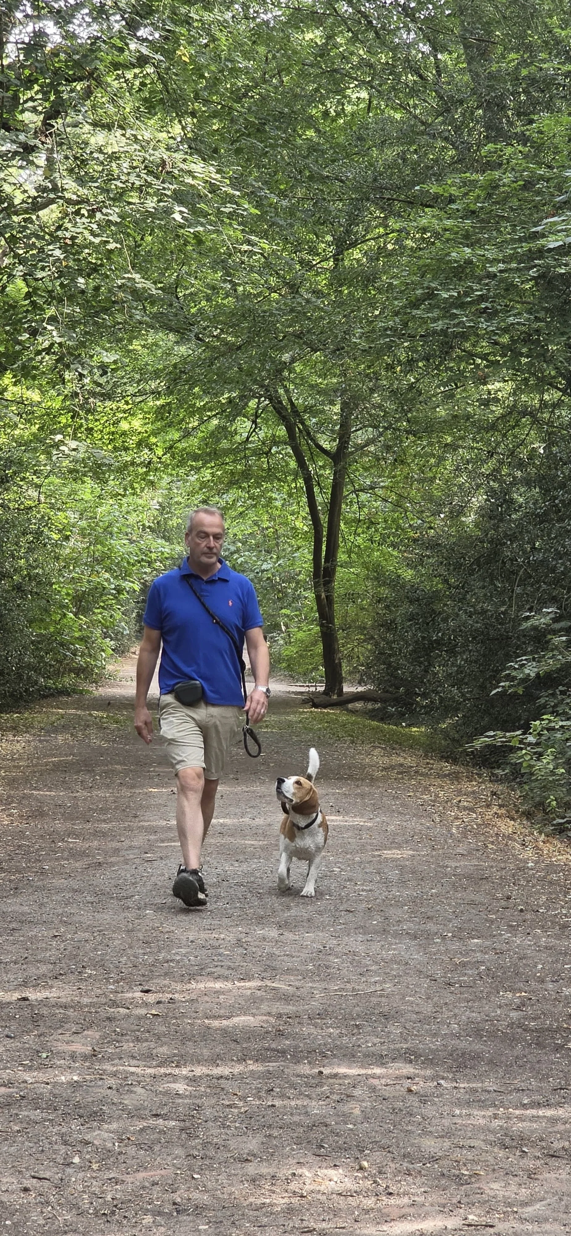A man walking with a dog on a dirt path in a lush green forest.
