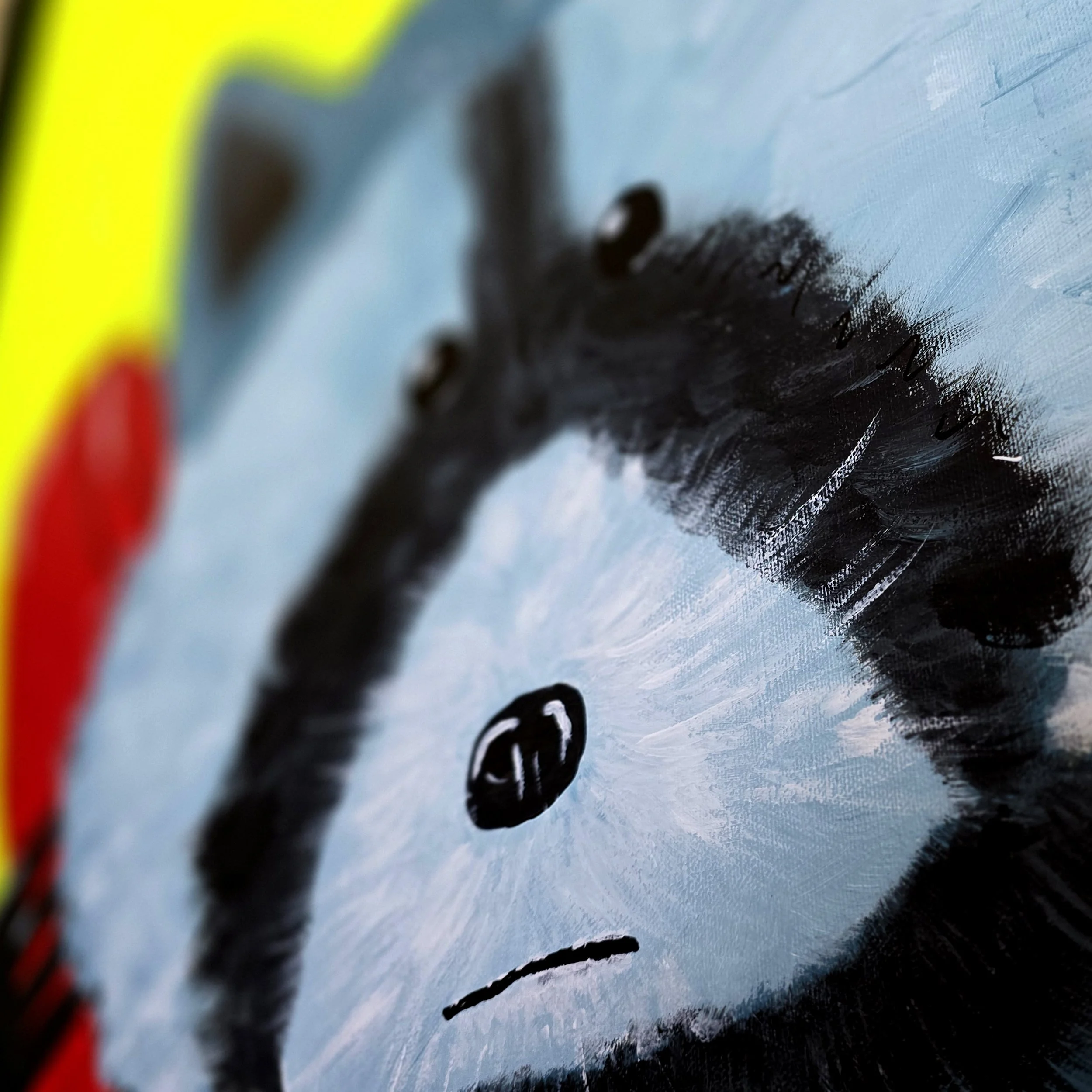 RACCOON CLOSE 2.jpg