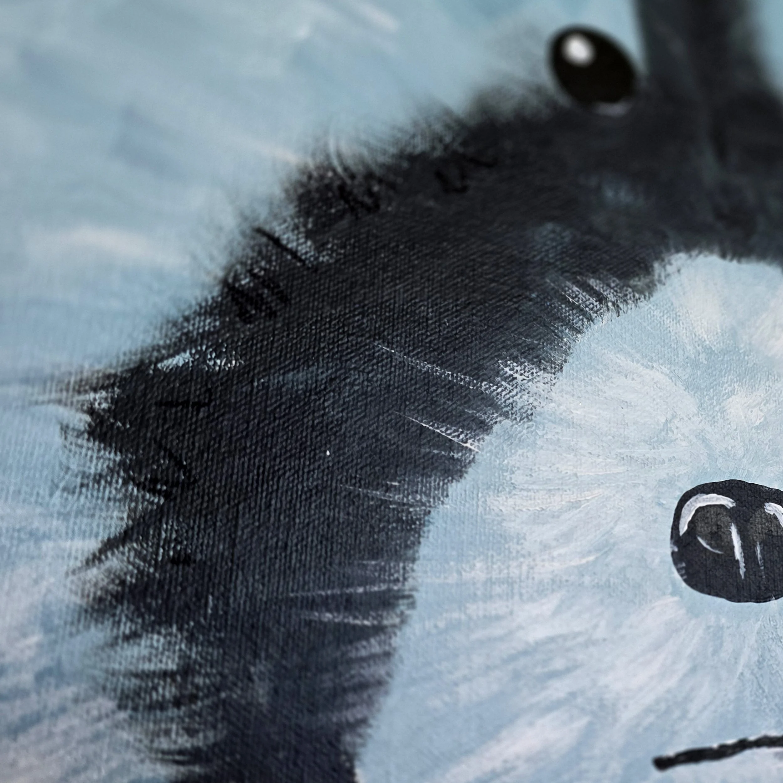 RACCOON CLOSE 3.jpg