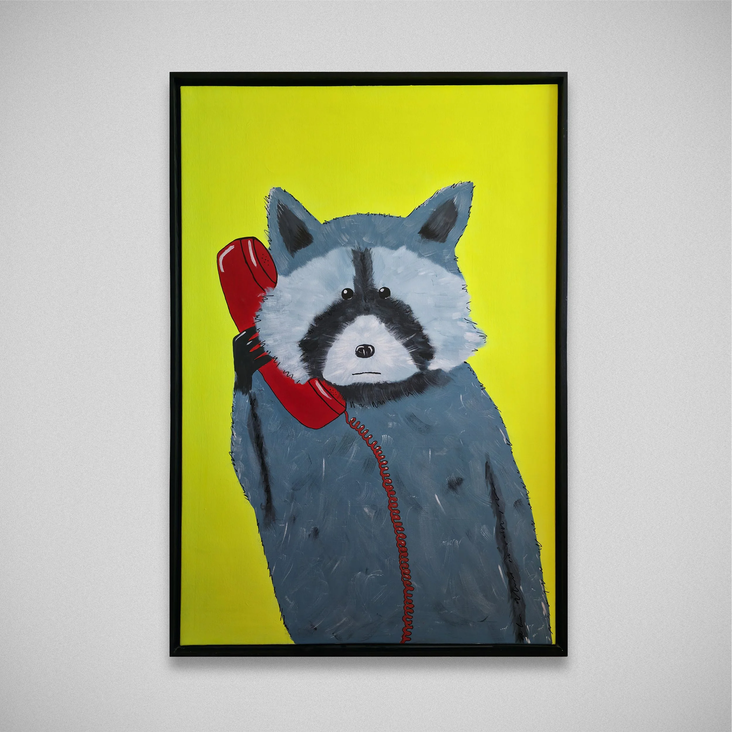 RACCOON.jpg