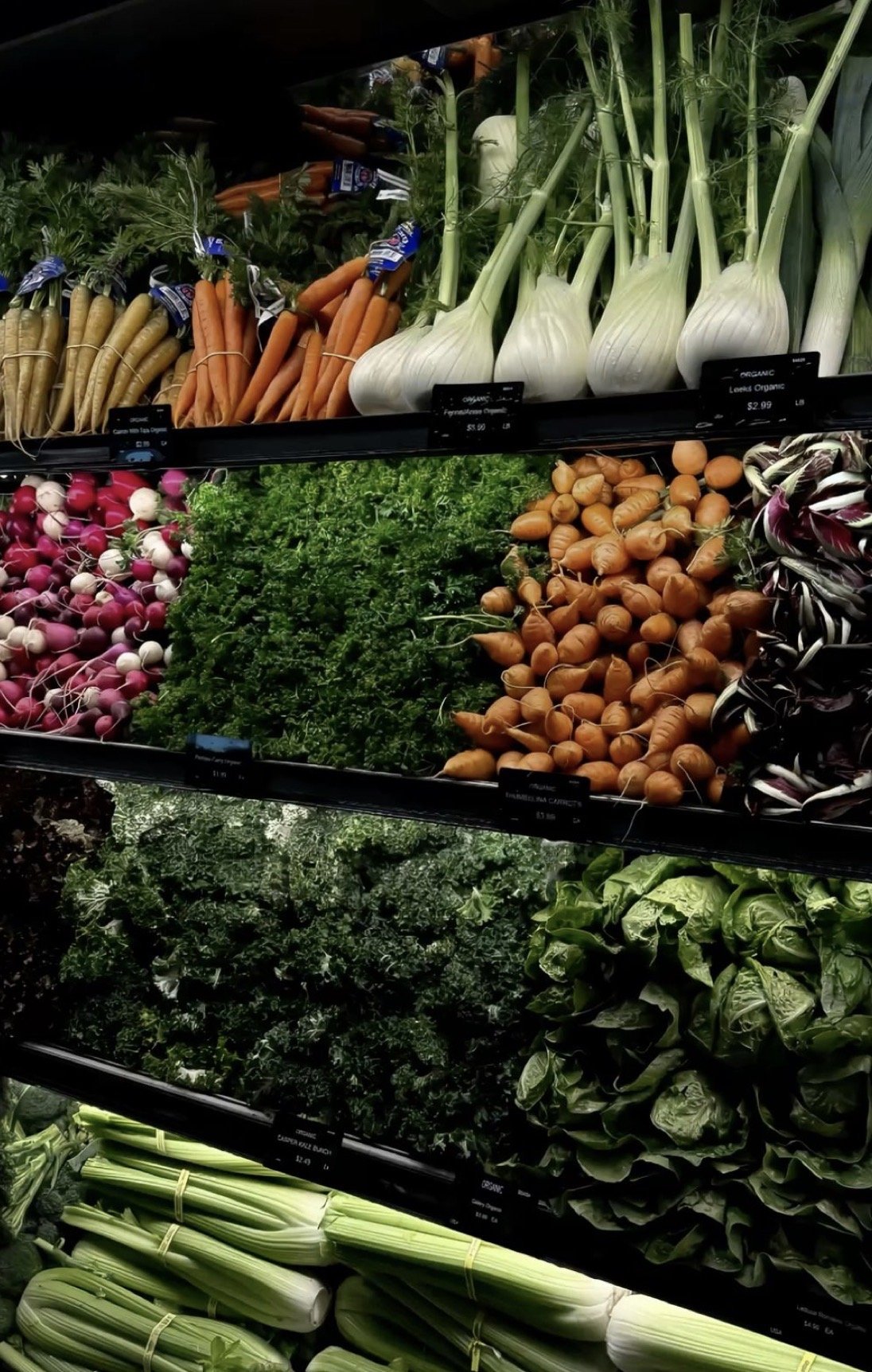 Display of fresh vegetables in a supermarket, including carrots, fennel bulbs, radishes, parsley, baby carrots, and leafy greens.