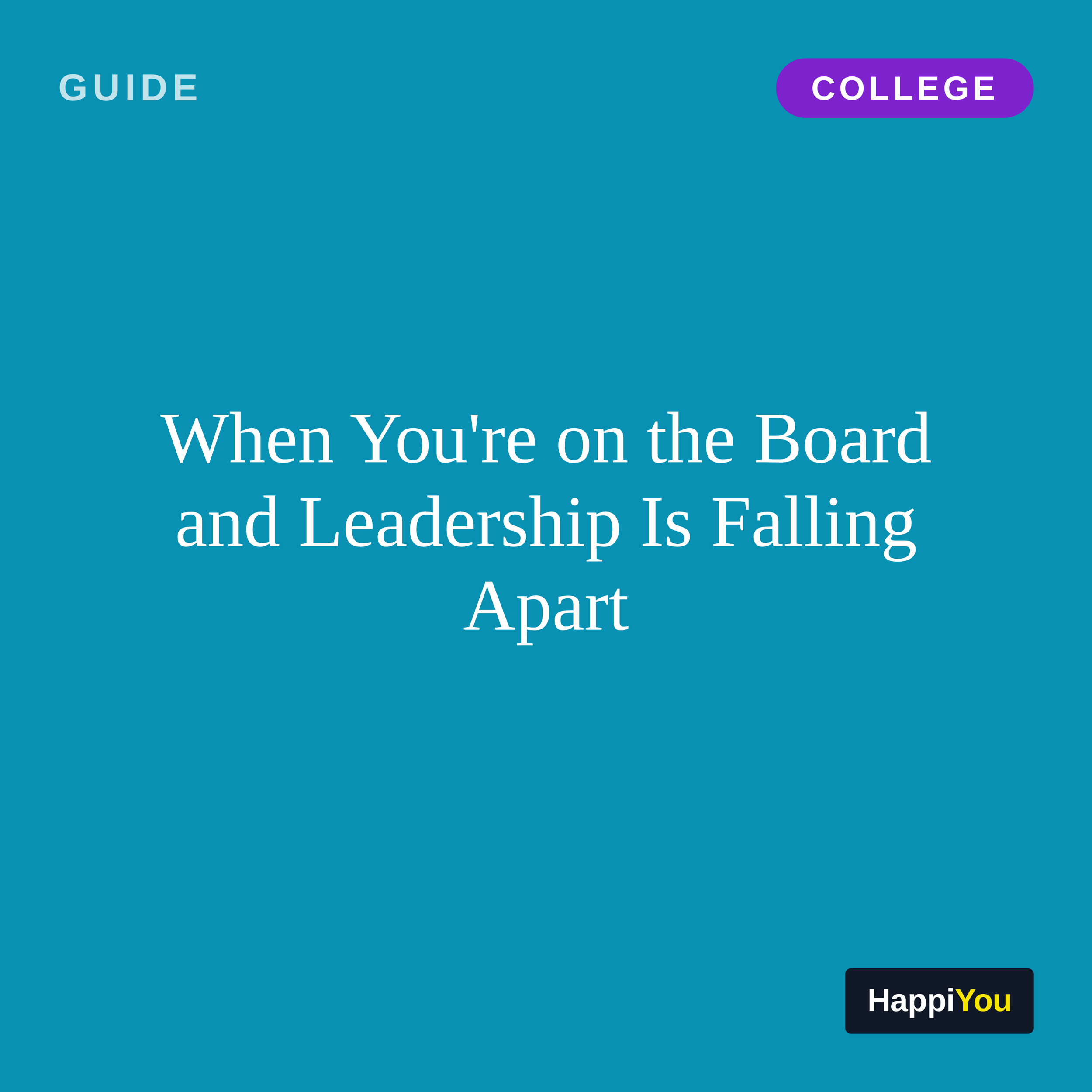Board and Leadership Team Conflict
