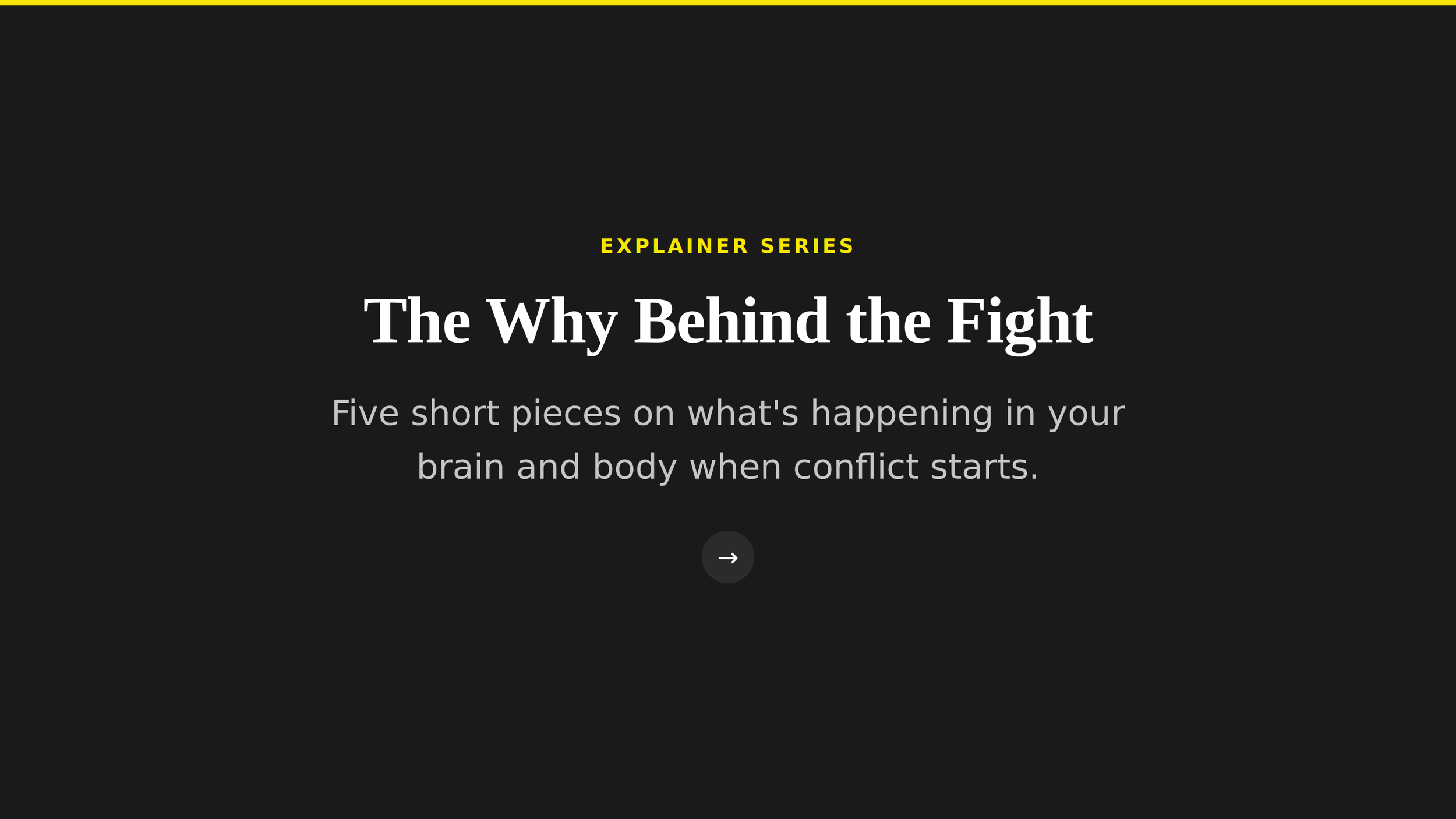 A3_the-why-behind-the-fight.png
