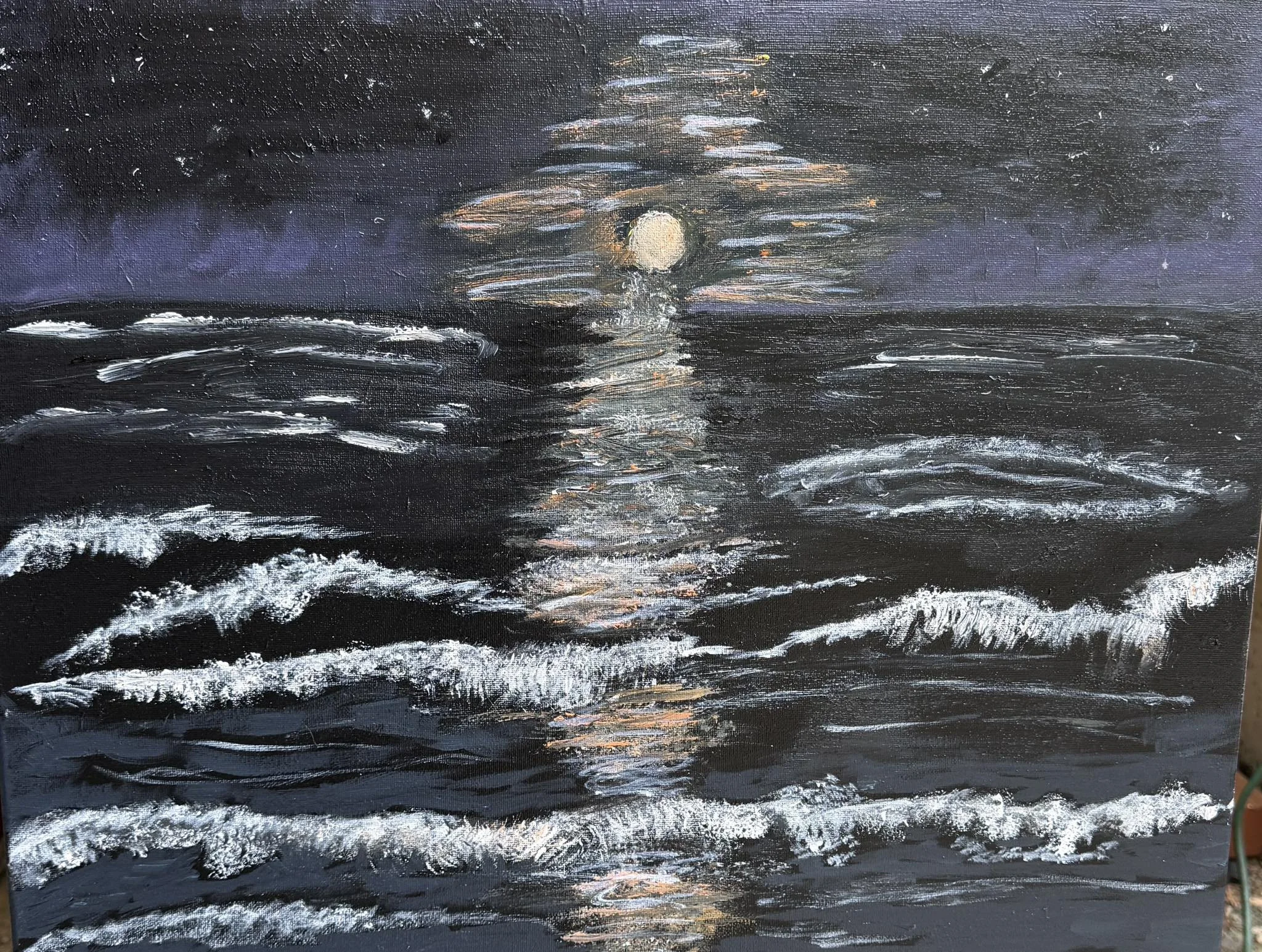 Moonlit Nights
