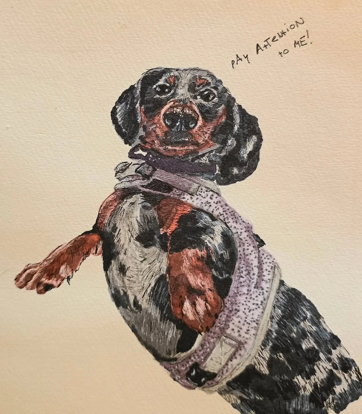 A regular view in our house