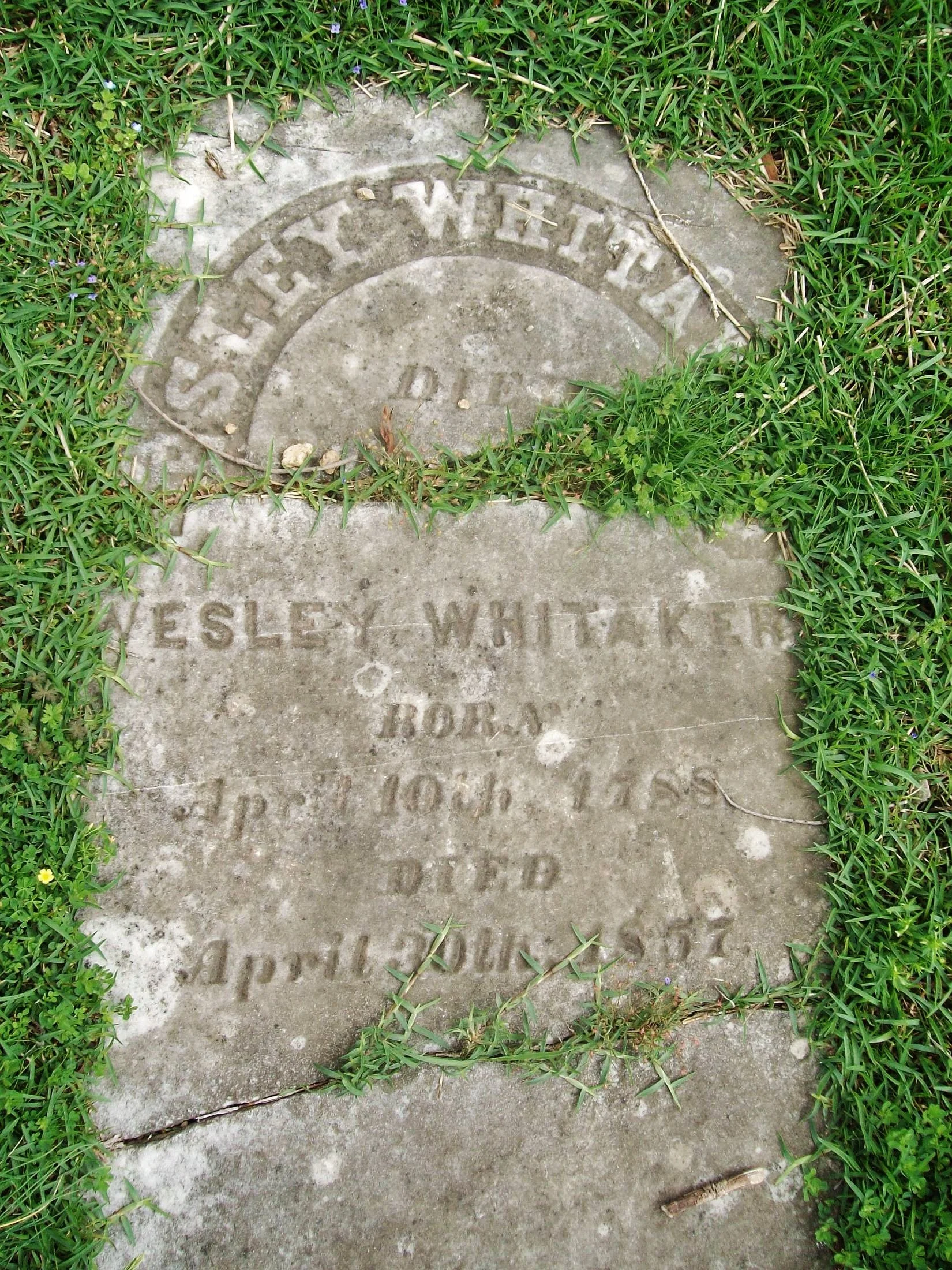 Wesley Whitaker Sr. Marker.jpg