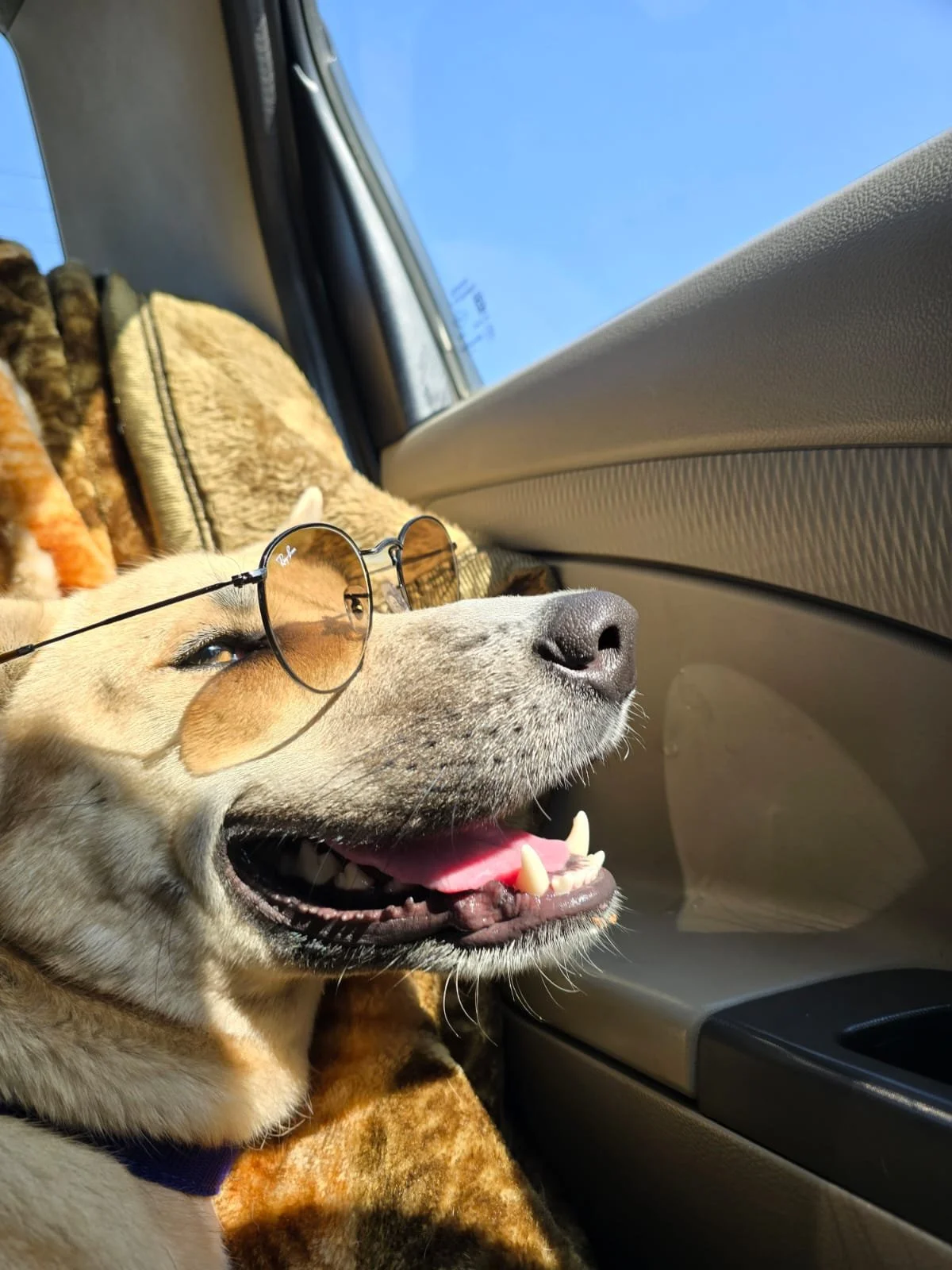 noahcool.jpeg