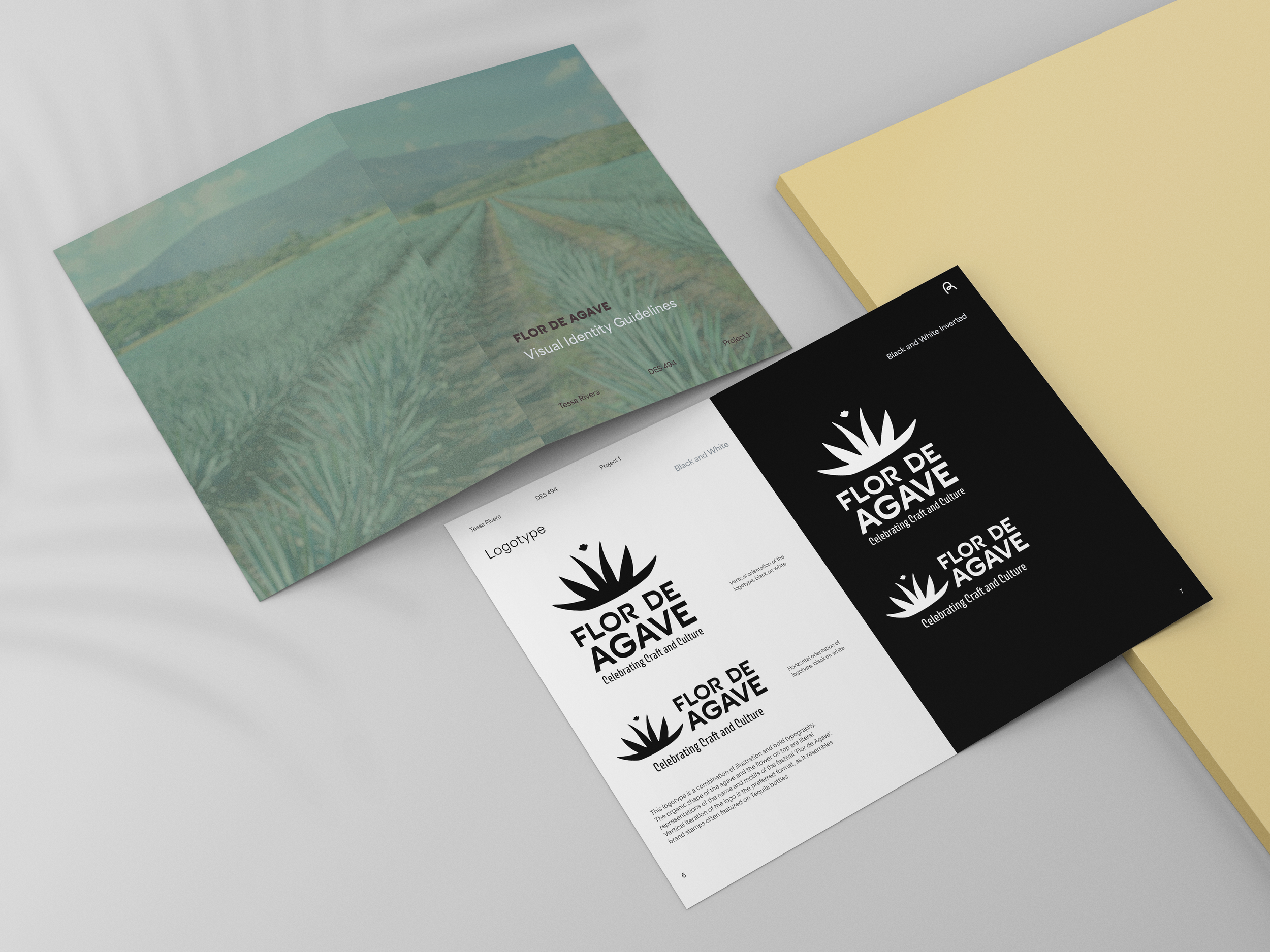 Flor de Agave — Identiy