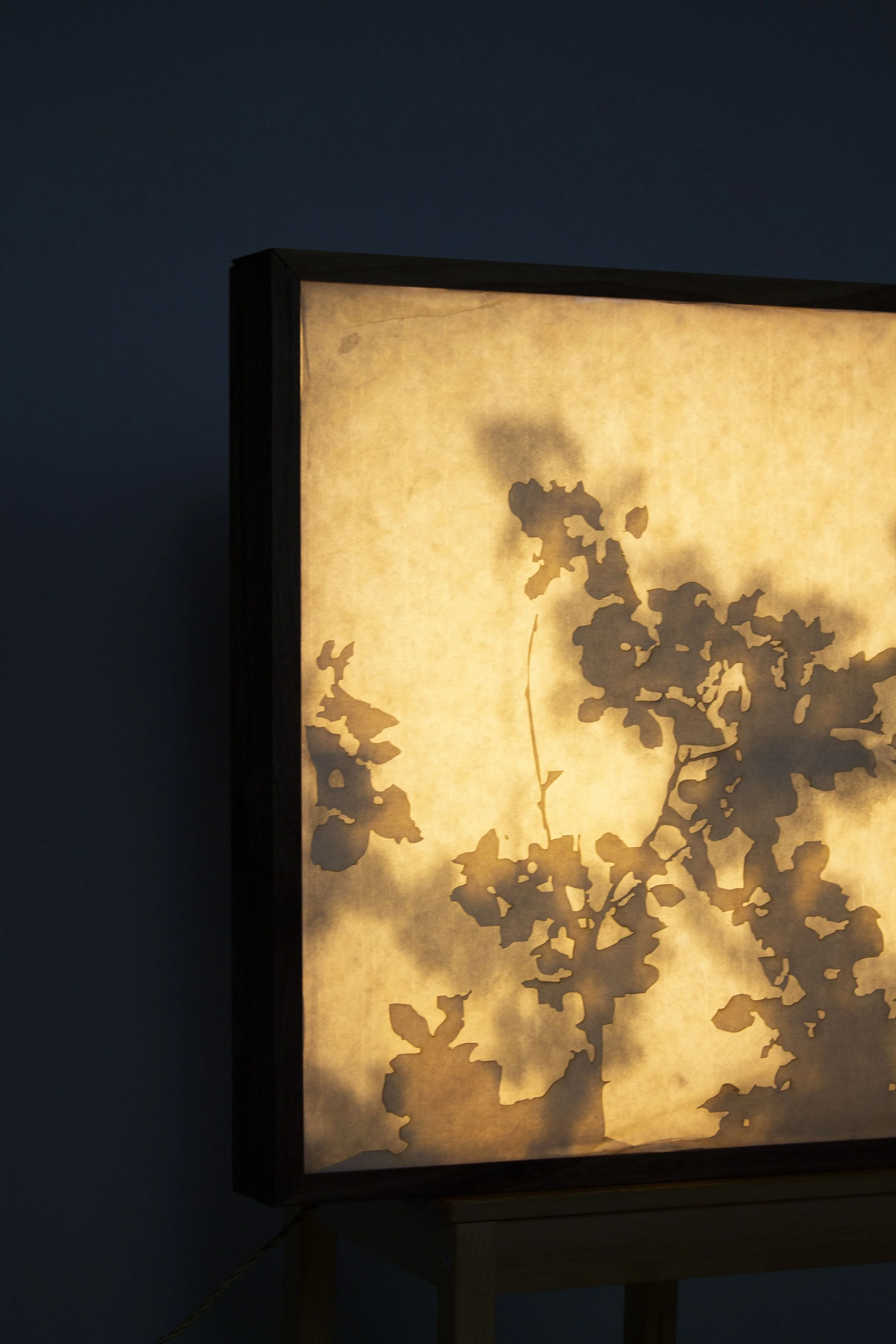 Shadows — Lamp Design
