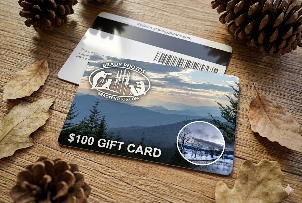 Give the Gift of a Perfect View