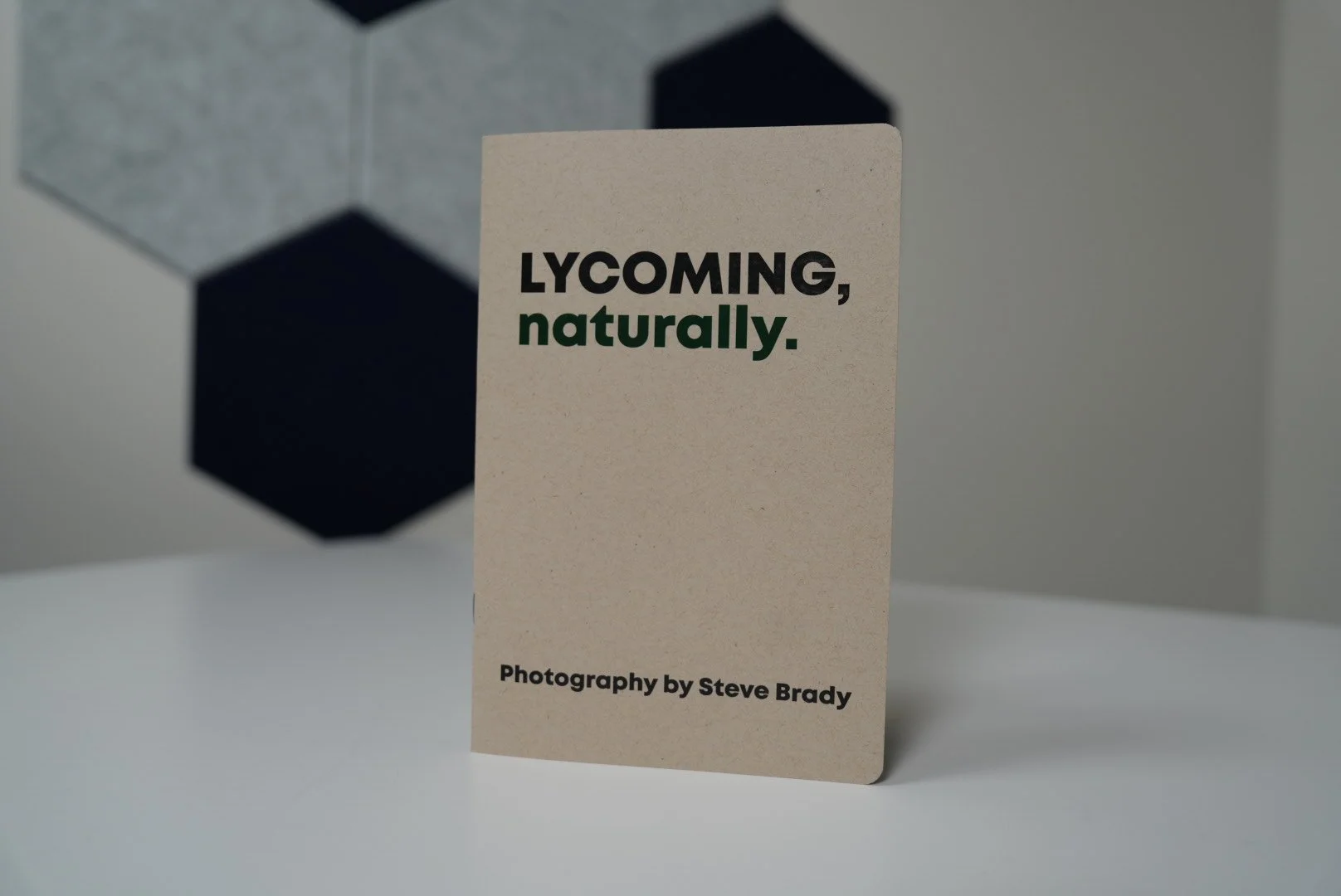 Lycoming, Naturally. A photo zine issue 1.