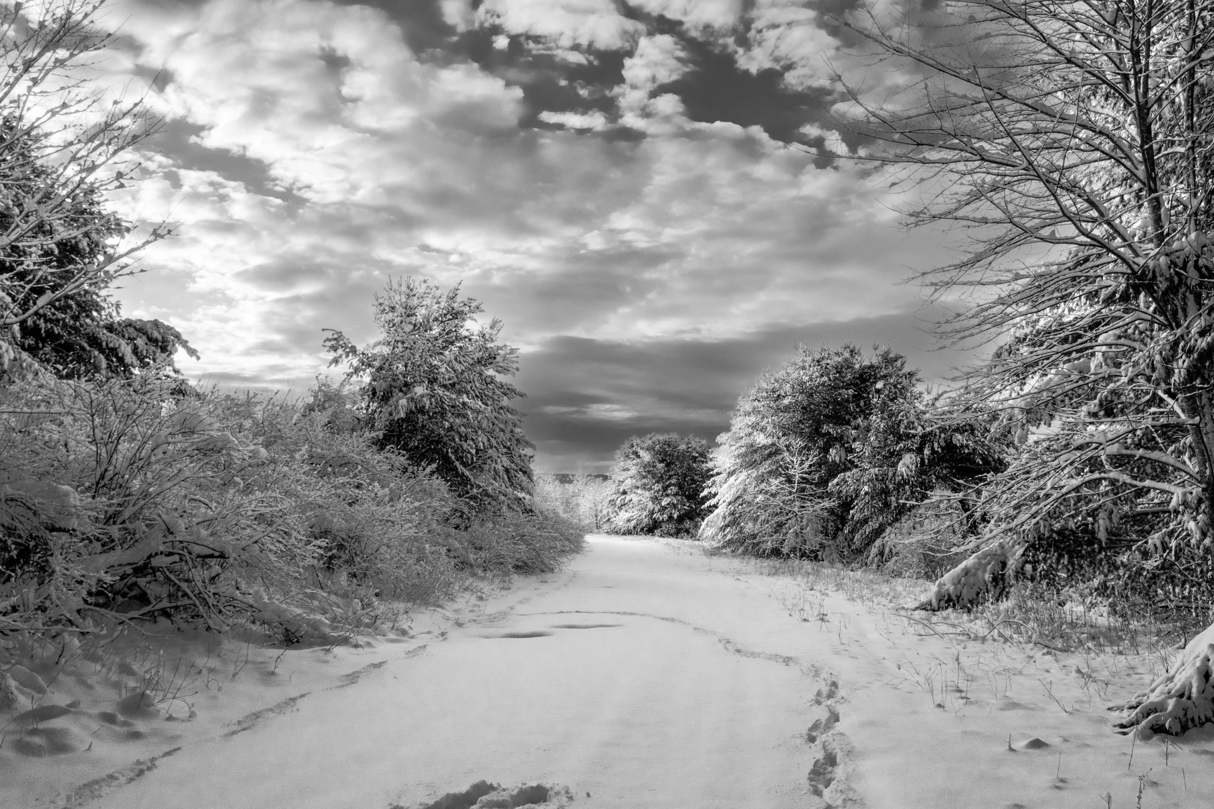 Pathway to Winter's Heart