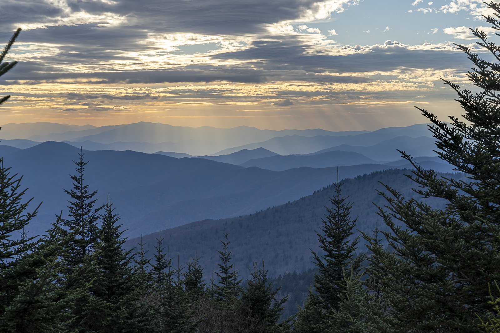 Sunlight Through the Smokies