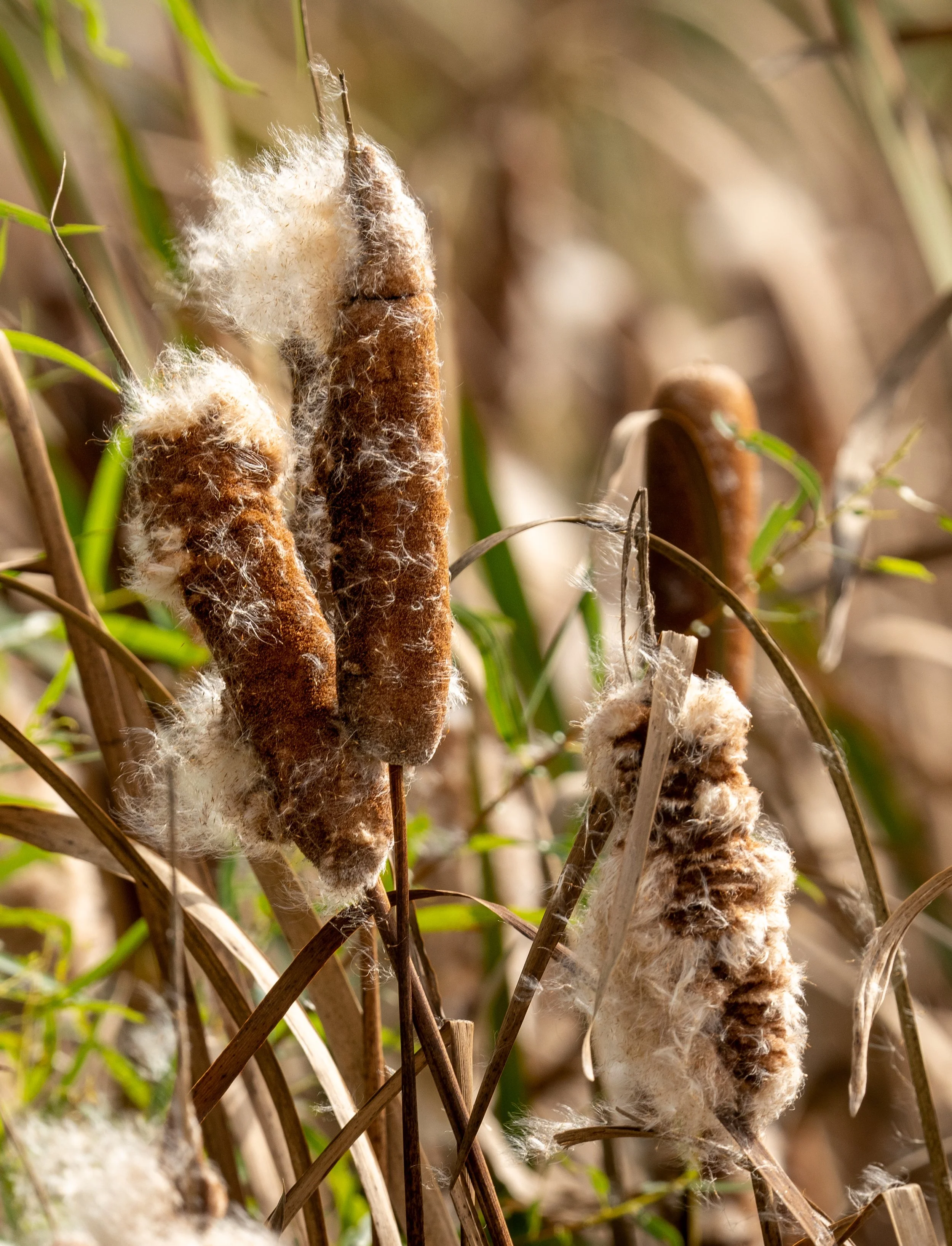 The Moment of Letting Go