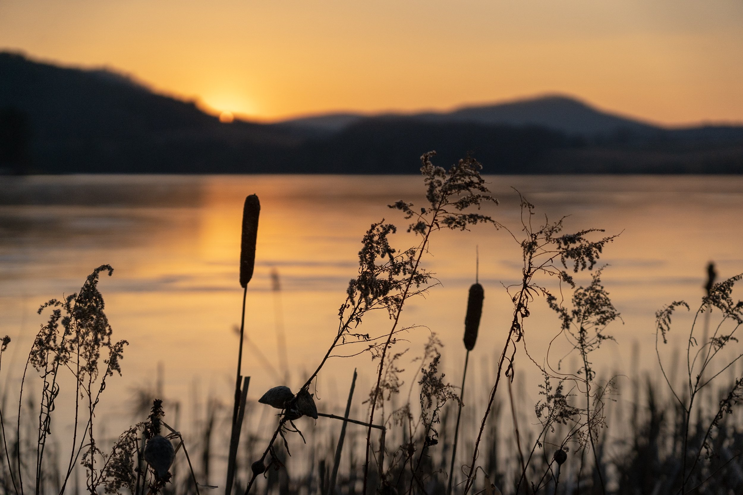 Twilight's Frozen Whisper