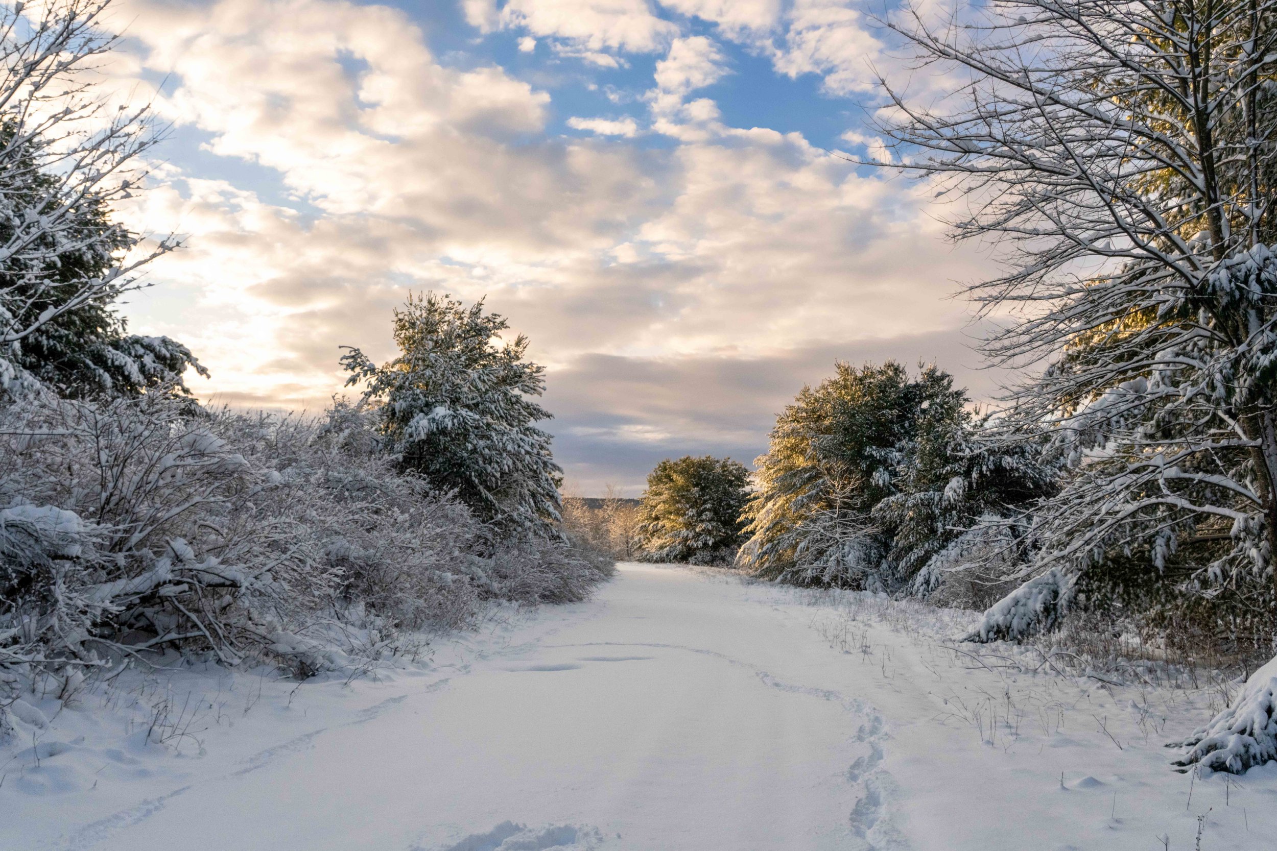 Winter's Silent Glow