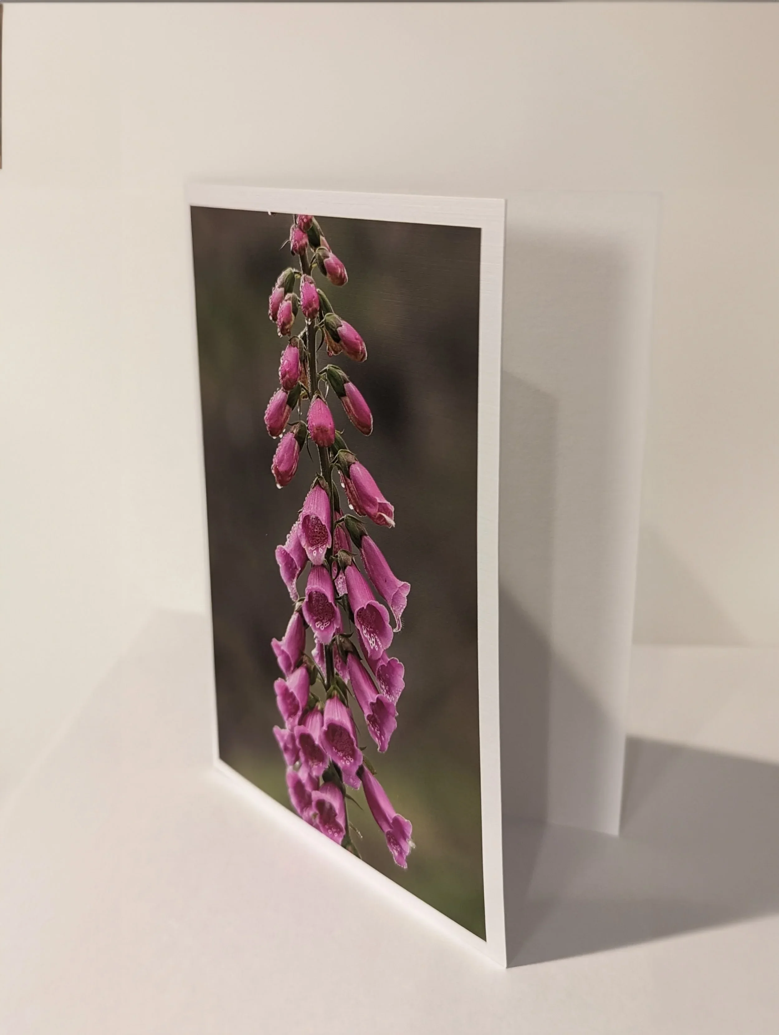 Note Cards