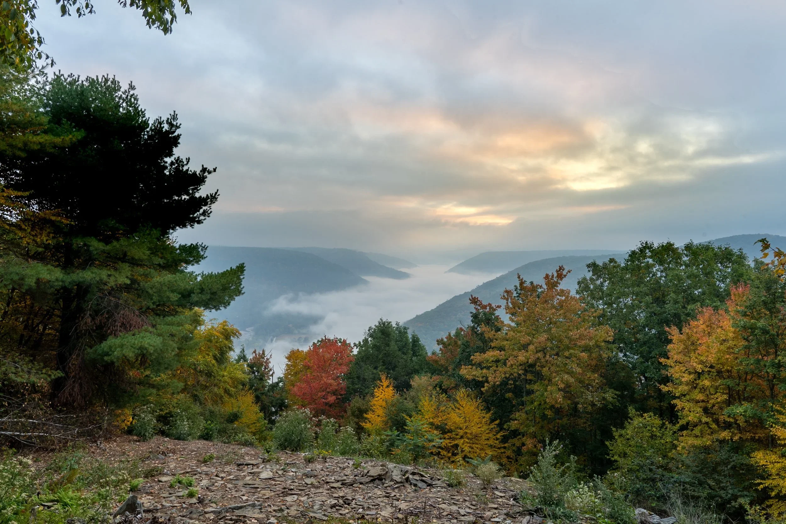 Rural PA