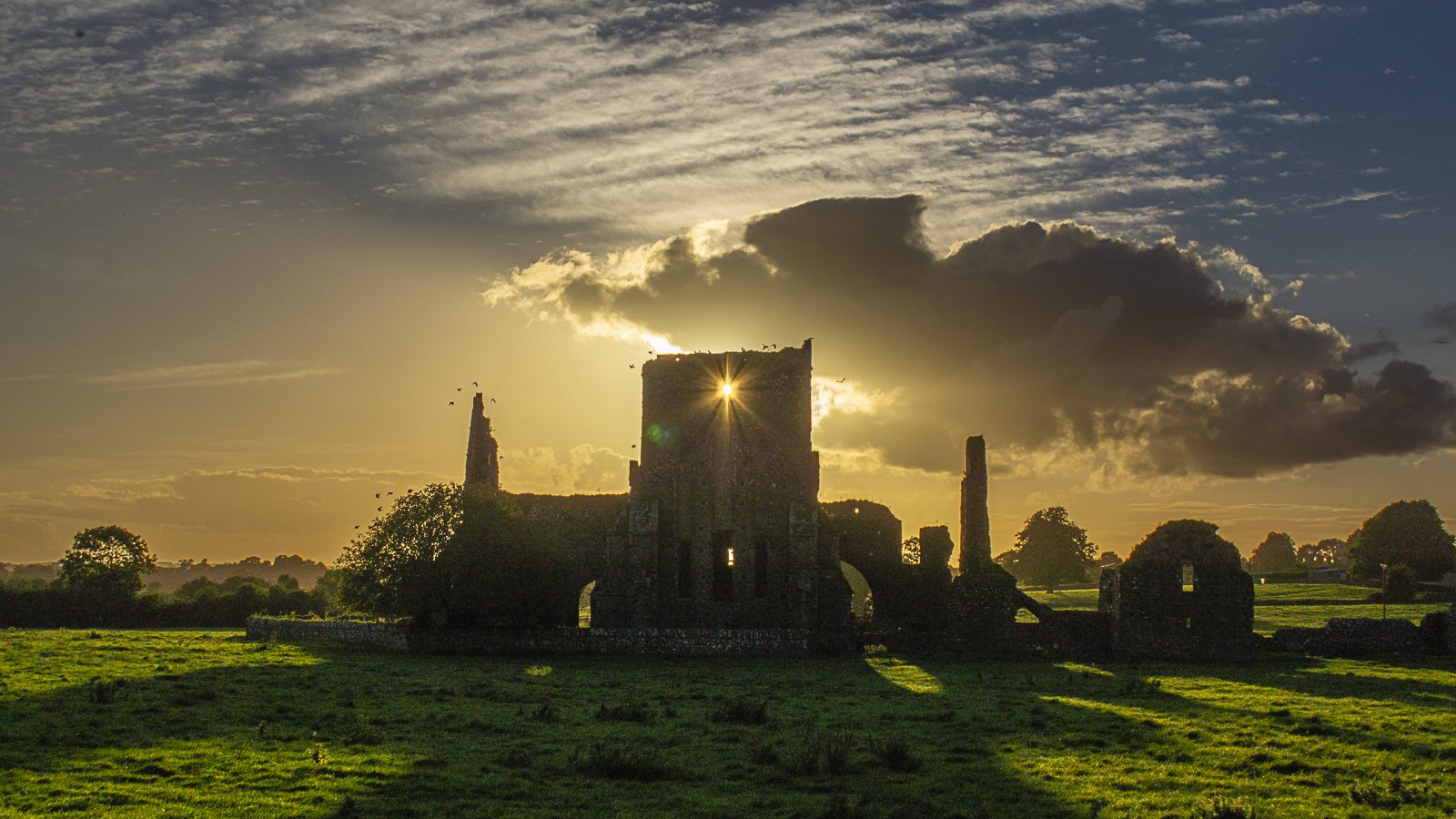 Hore Abbey, County Tipperary
