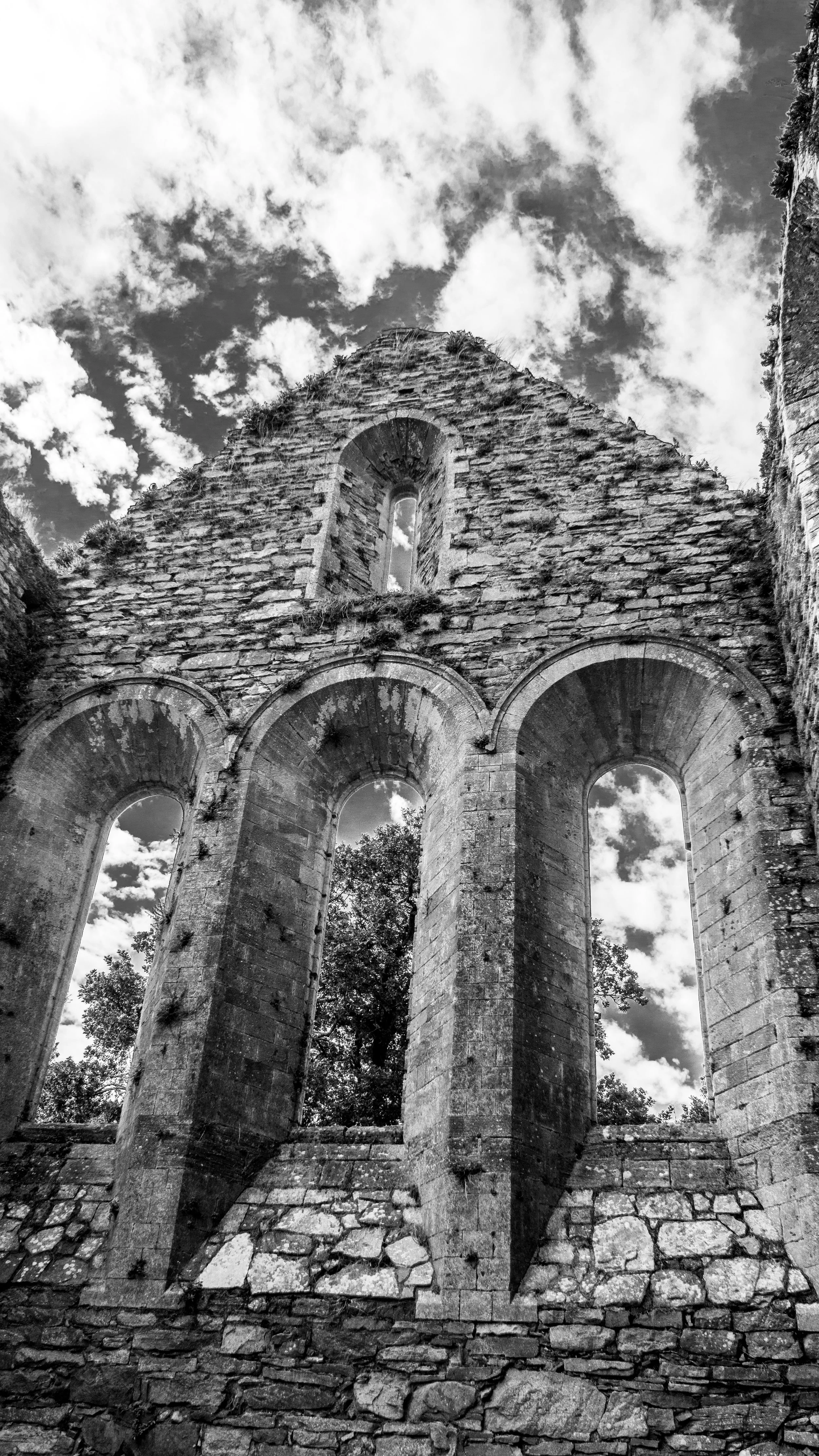 Jerpoint Abbey -- a Cistercian abbey founded the second half of the 12th century. 
 Located in County Kilkenny, Ireland.