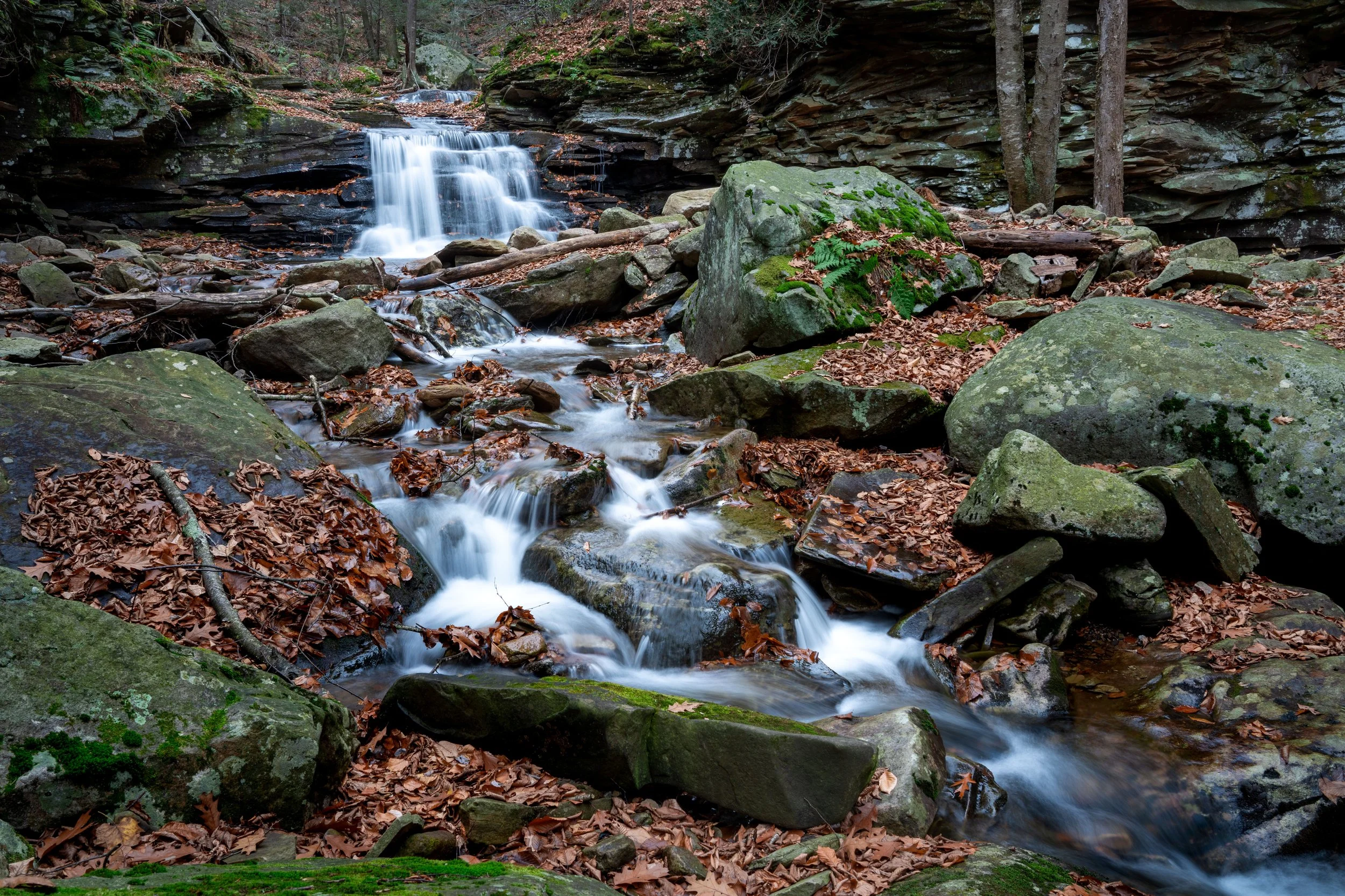 "Autumn Cascade"

Nestled within the forest's embrace, a vibrant cascade tumbles over ancient rocks, framed by the russet hues of fallen leaves. This photograph captures the harmonious flow of water, a testament to nature's unspoken poetry, and the q