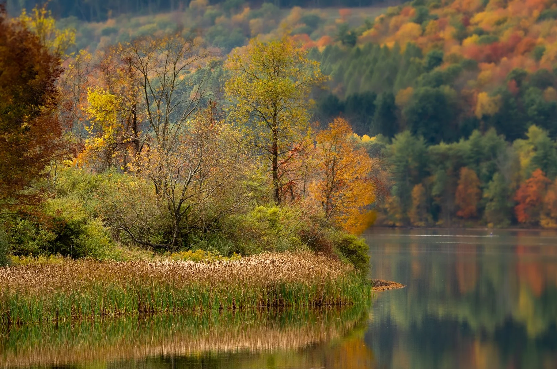 "Autumn's Reflection"

"Autumn's Reflection" is a stunning photograph that encapsulates the vibrant heart of fall at Rose Valley Lake. The image is a symphony of color, with fiery reds, warm oranges, and golden yellows painting the foliage in a displ