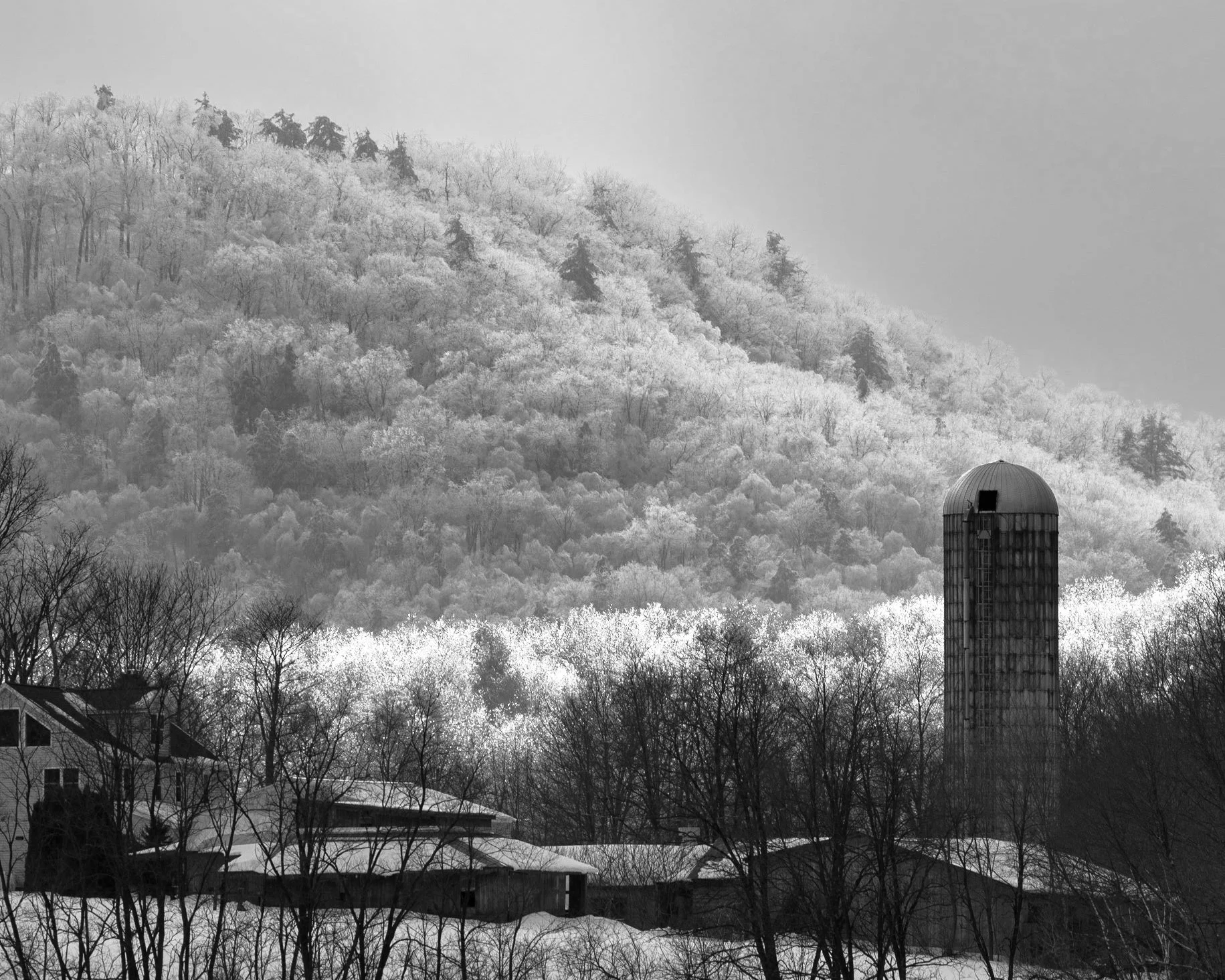 "Harvest's Repose"

Encased in winter's embrace, this monochrome tableau captures a farmstead's quiet season, with a silo standing as a steadfast symbol of past harvests and future abundance. The frost-laden forest behind watches over the land, a tes