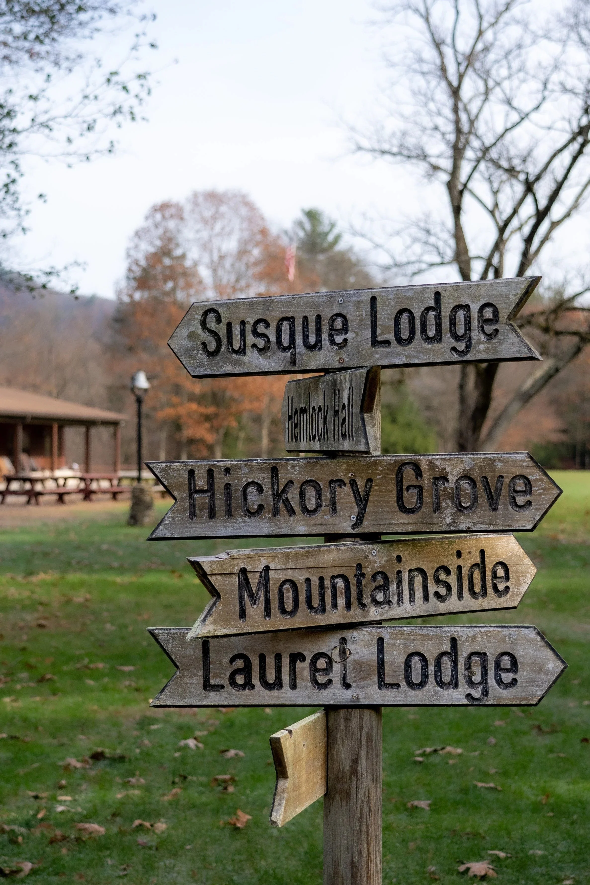 Directions to the Woods