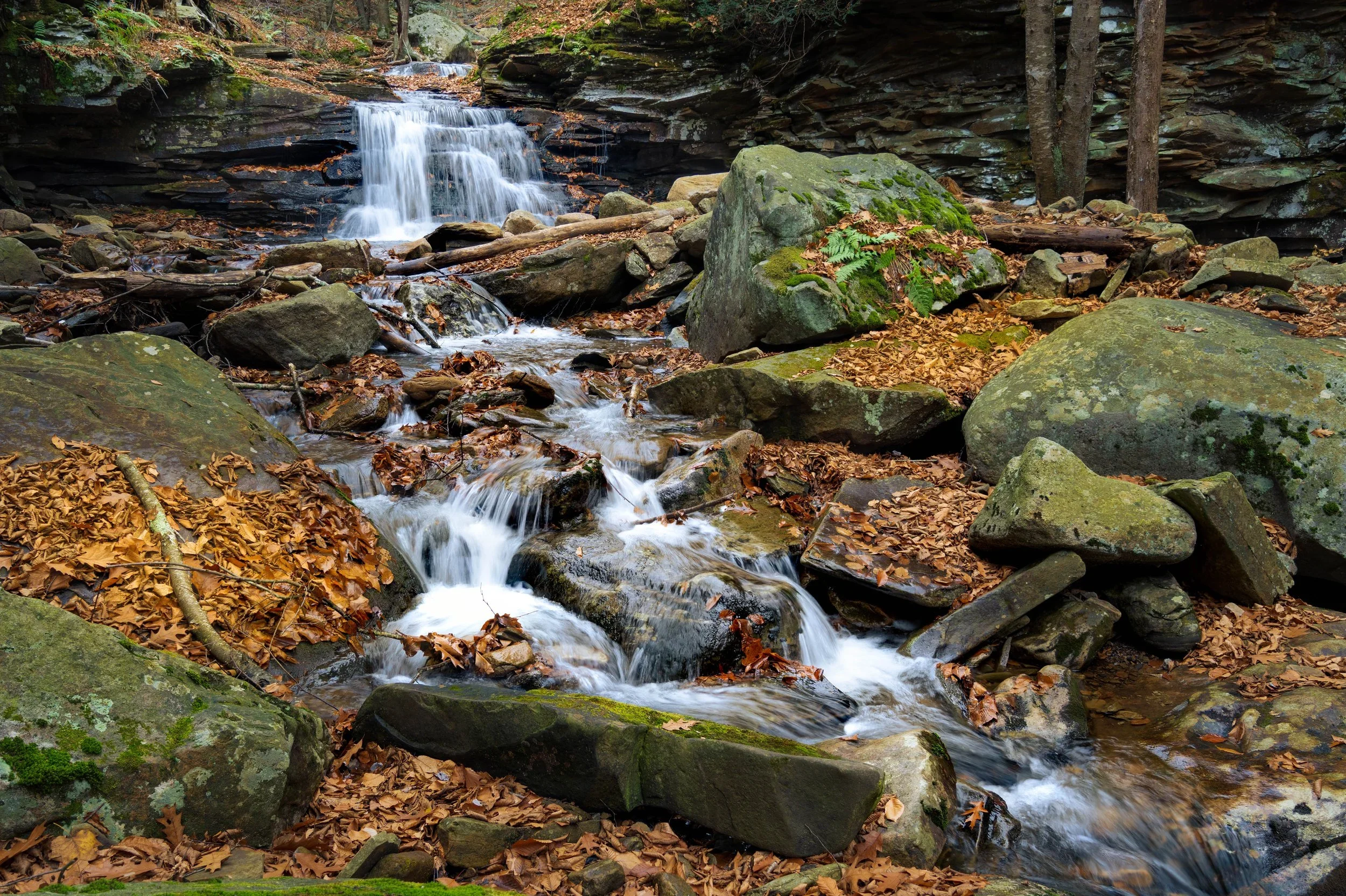 DSC2218-Edit-4.webp