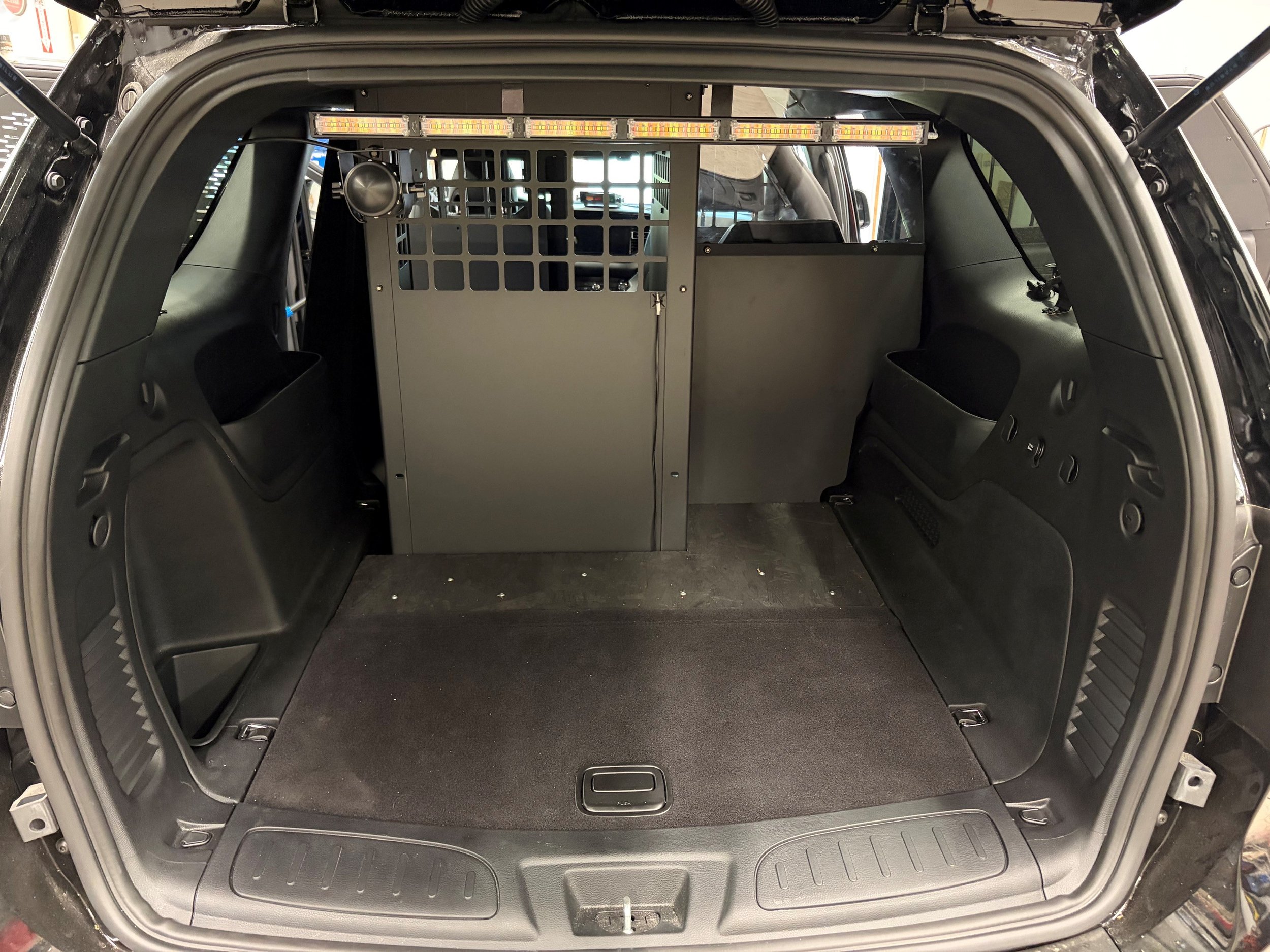 K9TRUNK.jpg