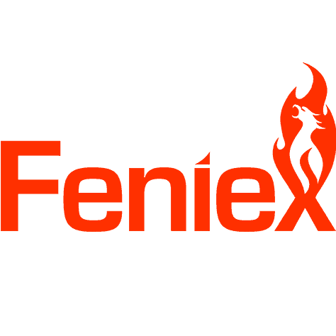 Fenix logo with a stylized flame and silhouette of a dancer in red and black.
