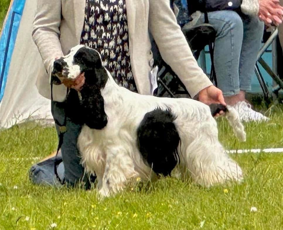 Travis Turn Back Time