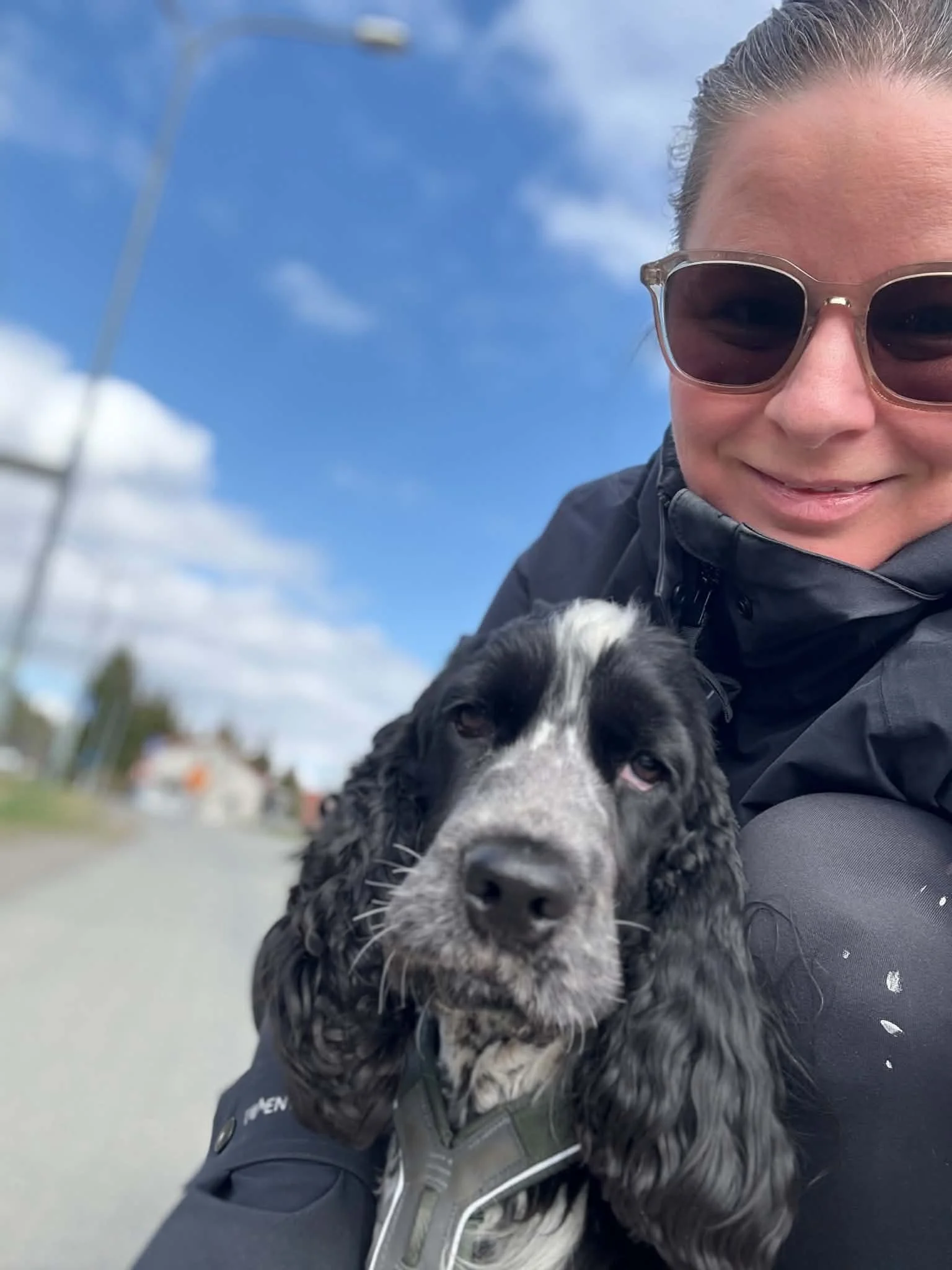 Cocker spaniel og kvinne med solbriller