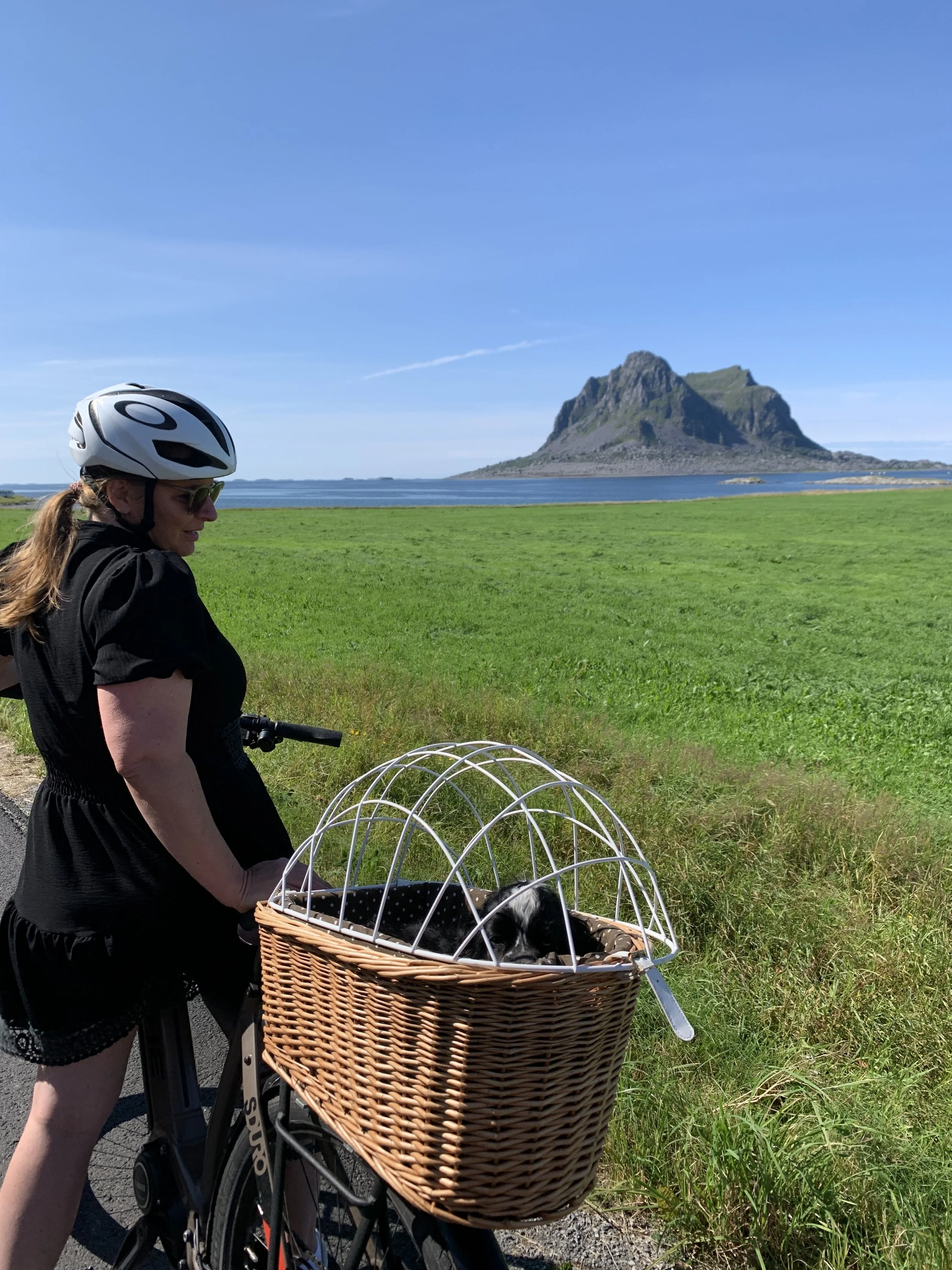 A woman wearing a helmet and sunglasses riding a bike with a basket carrying a cocker spaniel, with green fields, a lake, and a mountain in the background under a clear blue sky. At the island Vega in the north of Norway.