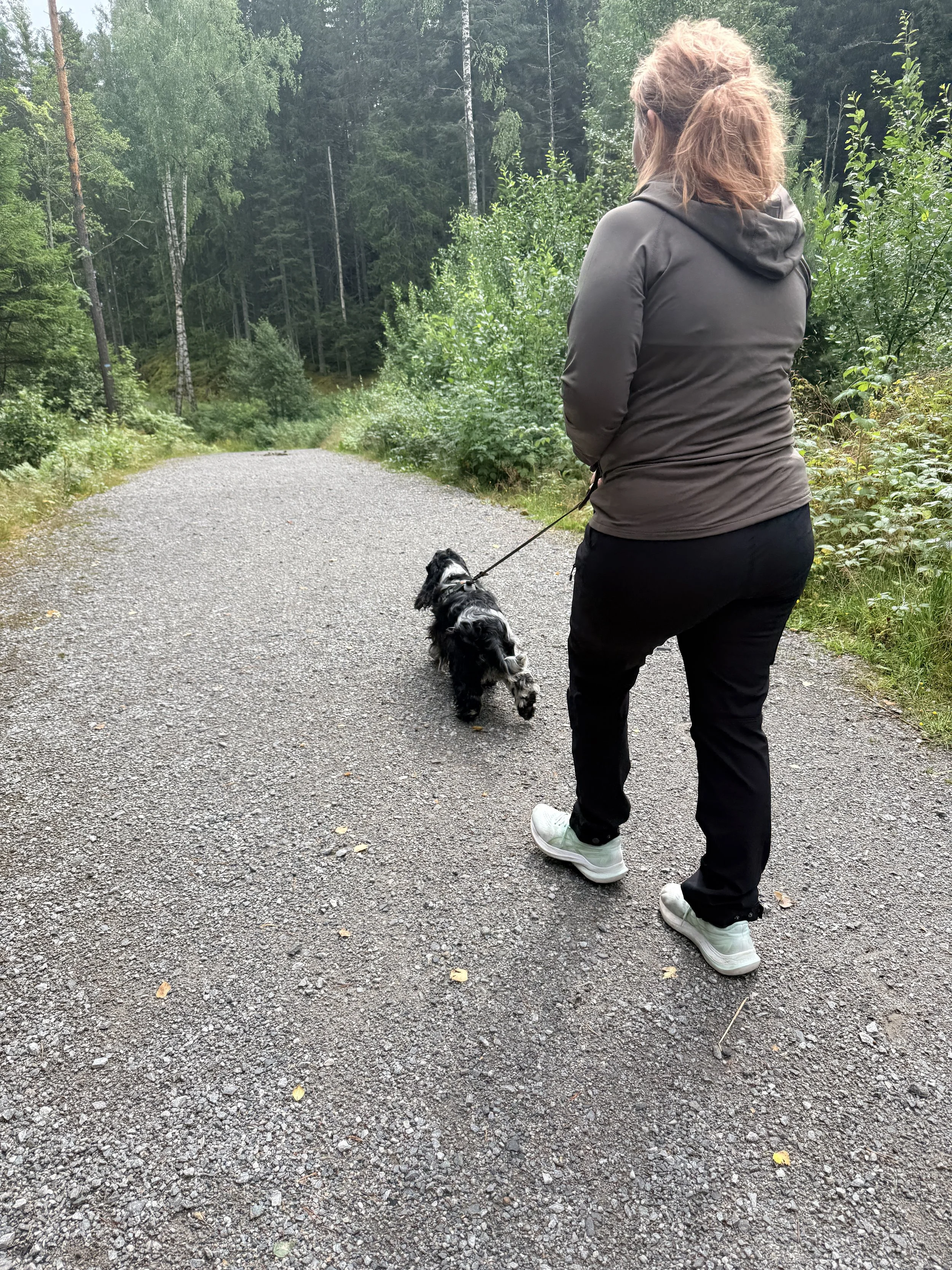 En kvinne og en cocker spaniel går på en grusvei i skogen. Med grønt løv på trærne.