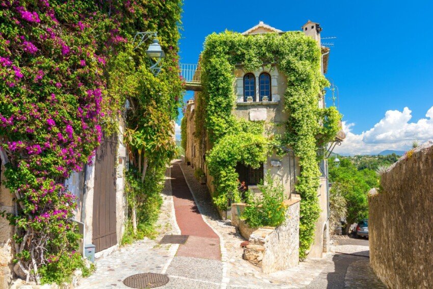 Ruelle ensoleillée de Saint-Paul-de-Vence avec maison en pierre recouverte de verdure et fleurs colorées.